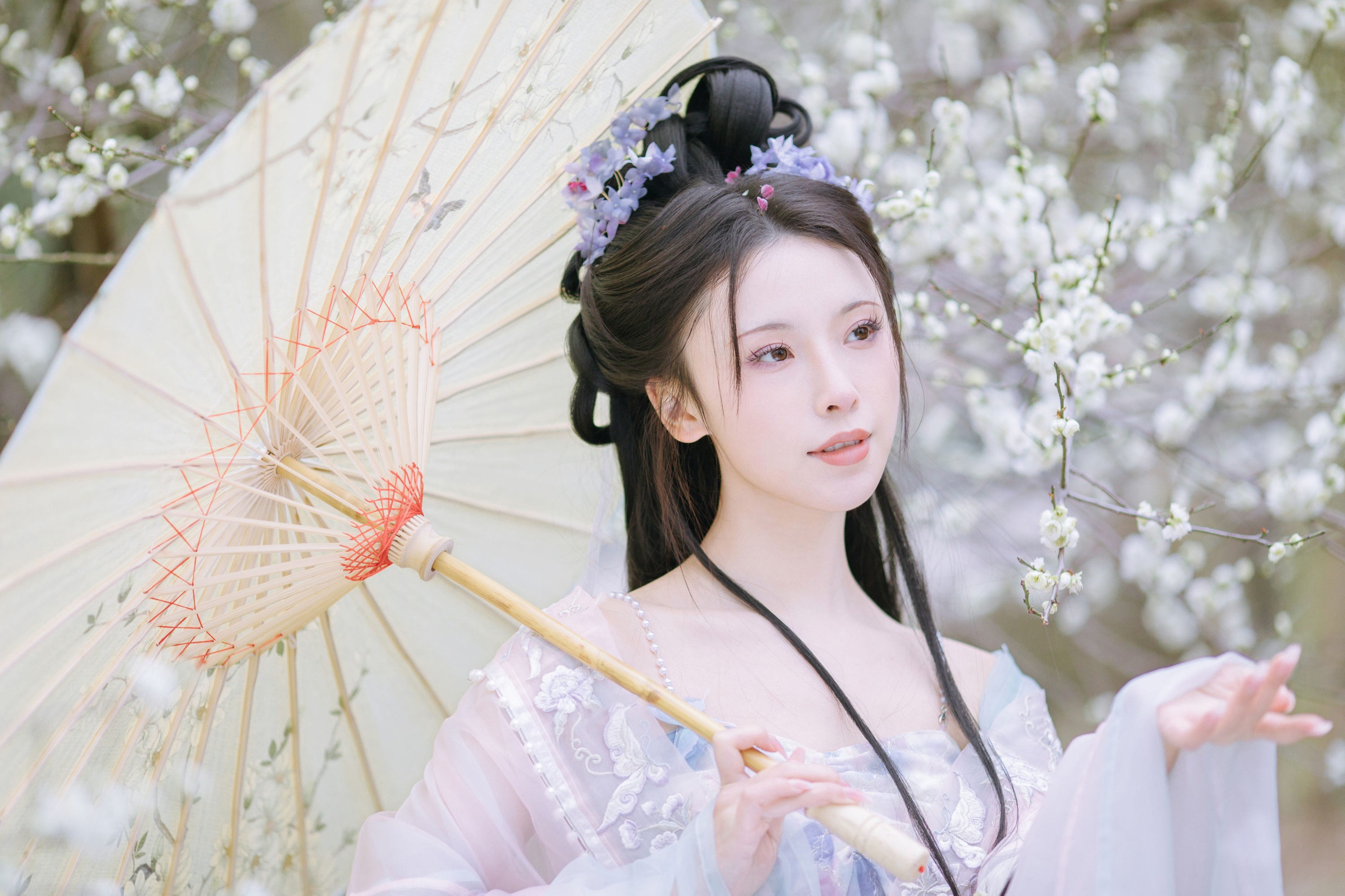 图片[4] - 一小枝枝枝枝 - 《暗香疏影》[17P] - 机器猫次元 - 机器猫次元