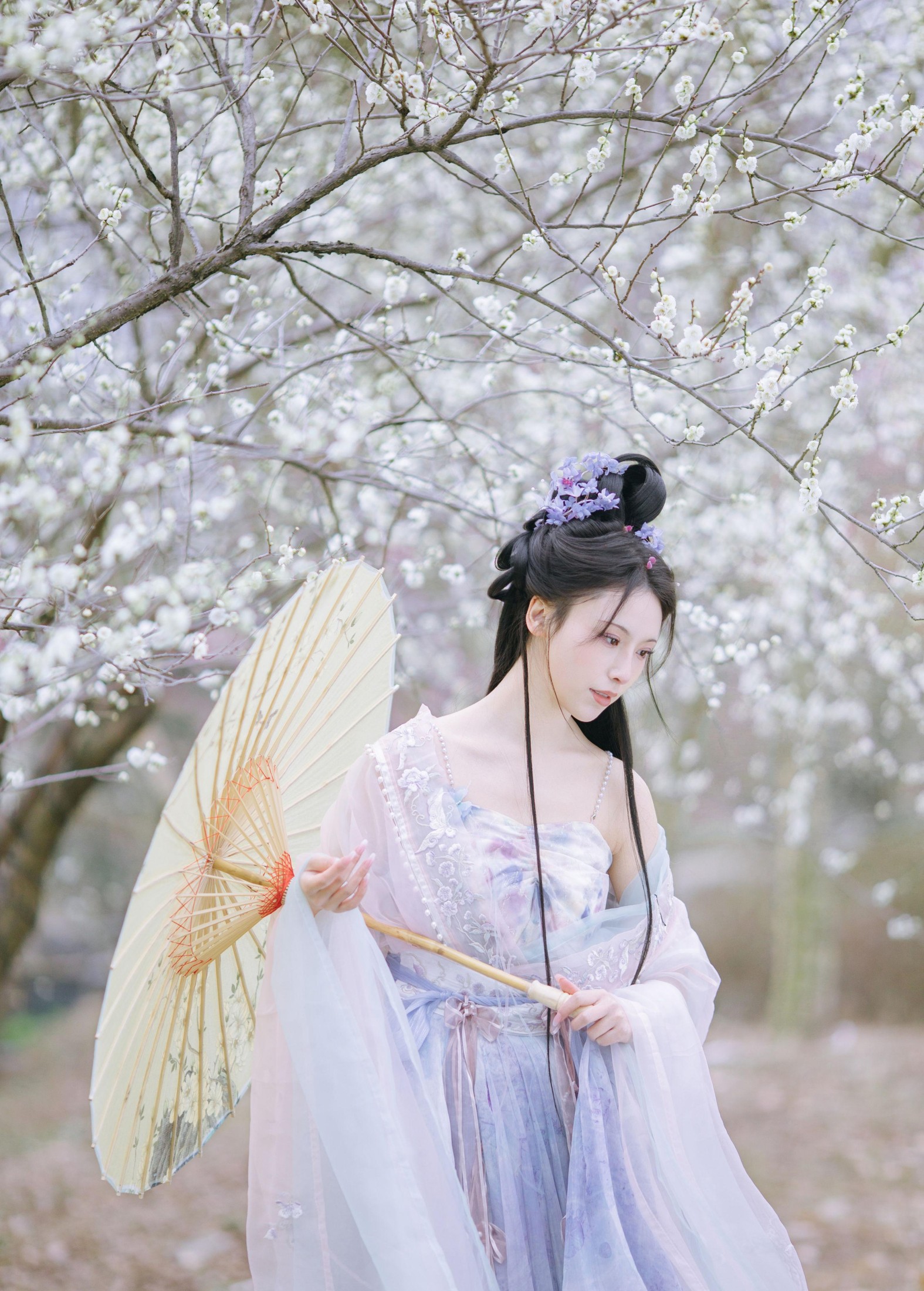 图片[2] - 一小枝枝枝枝 - 《暗香疏影》[17P] - 机器猫次元 - 机器猫次元