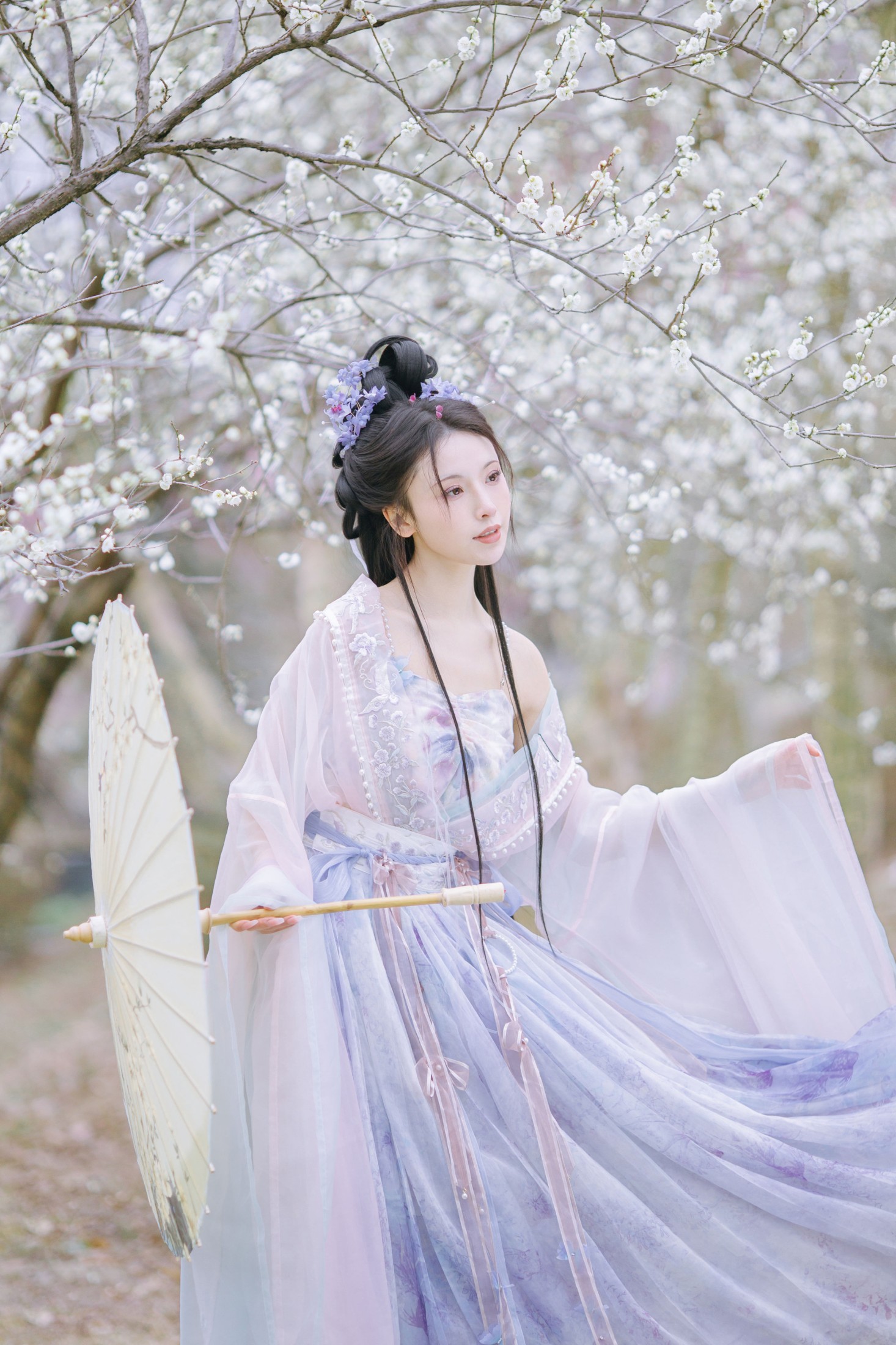 图片[1] - 一小枝枝枝枝 - 《暗香疏影》[17P] - 机器猫次元 - 机器猫次元