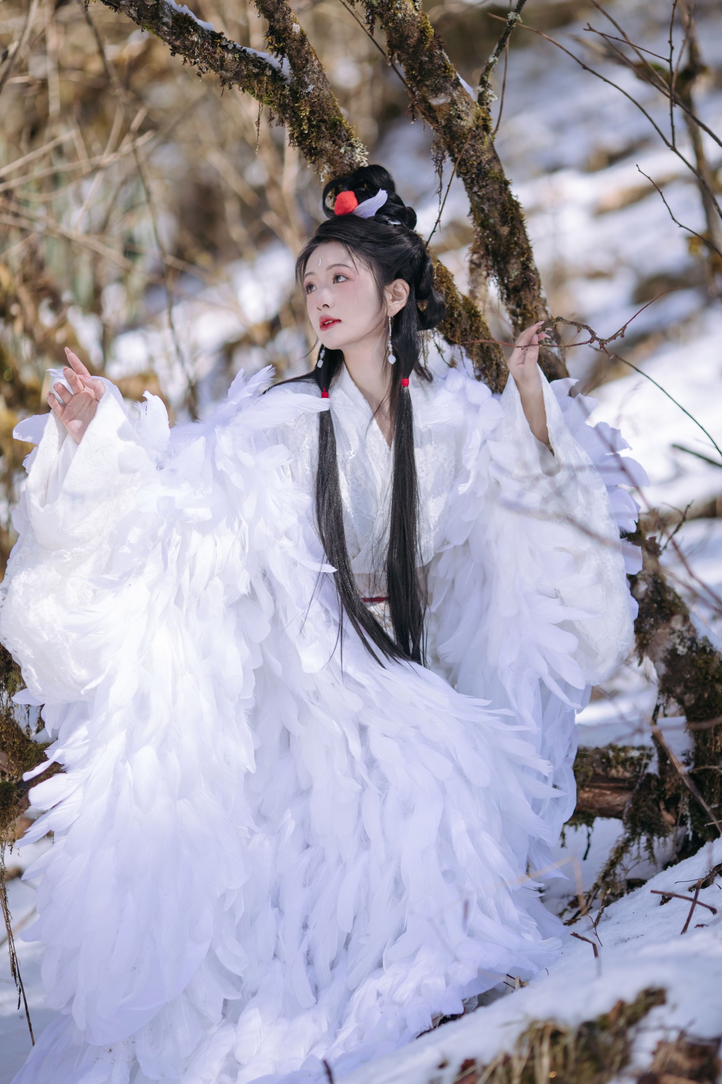 图片[1] - 赤嫣在这里～ - 《鹤族圣女》[18P] - 机器猫次元 - 机器猫次元