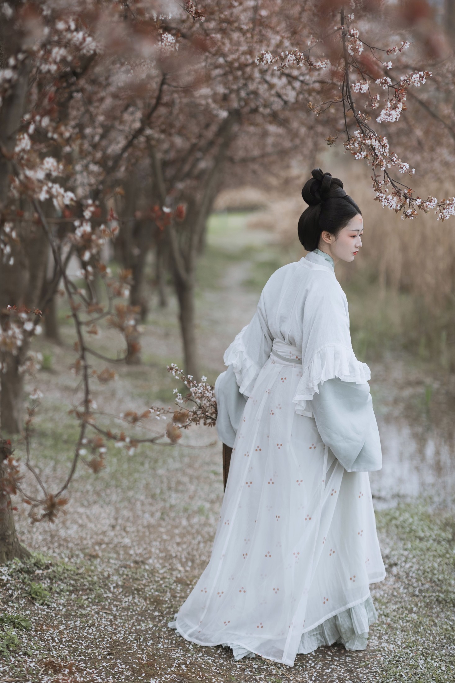 图片[6] - 辞云镜 - 《探芳》[38P] - 机器猫次元 - 机器猫次元