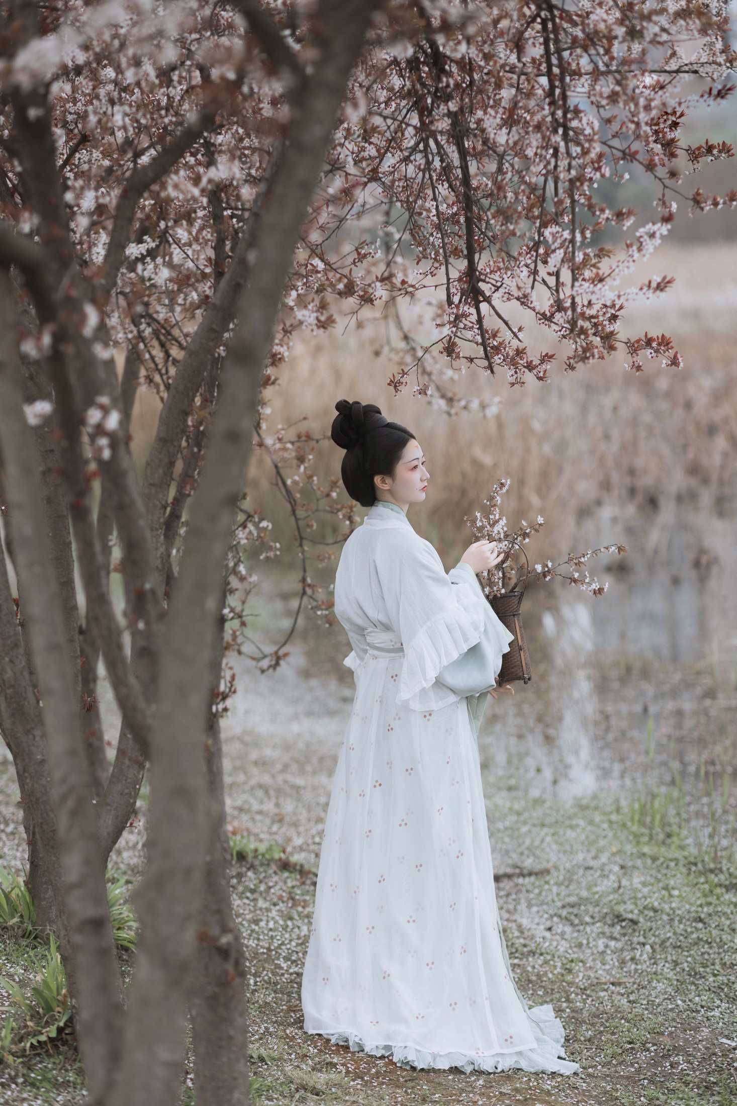 图片[1] - 辞云镜 - 《探芳》[38P] - 机器猫次元 - 机器猫次元