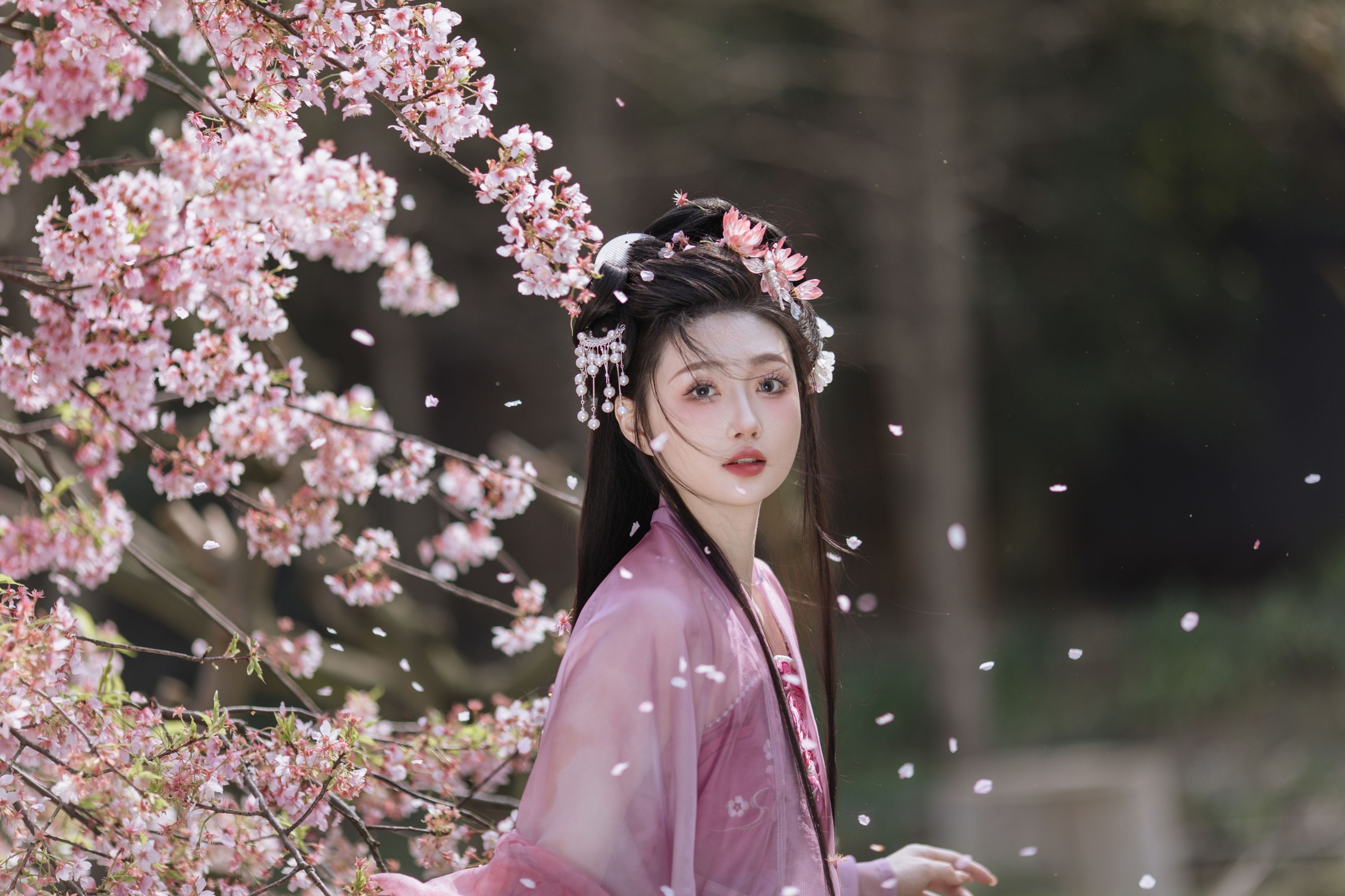 图片[7] - 柳柳杨柳柳 - 《风起樱如雪》[18P] - 机器猫次元 - 机器猫次元