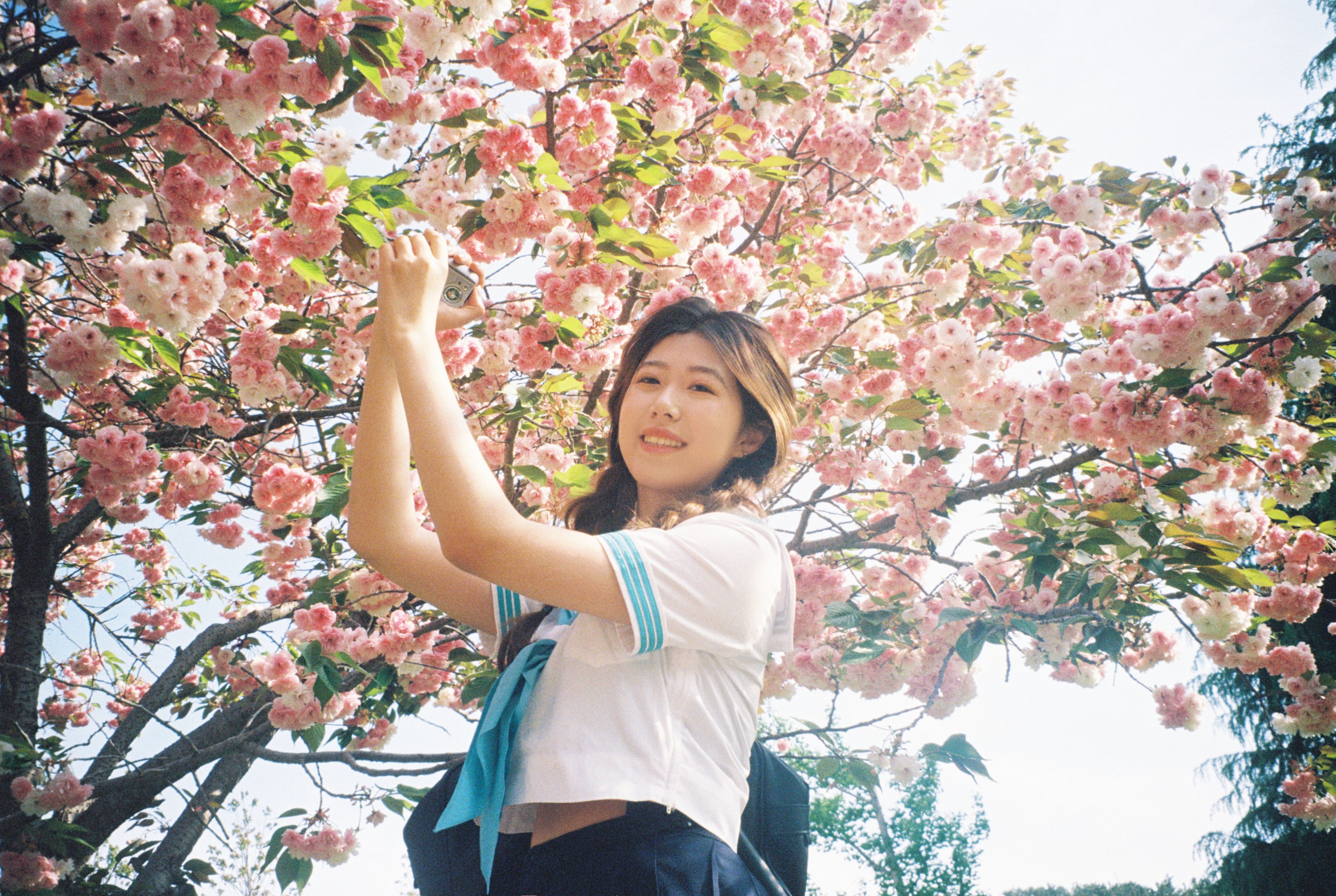 图片[3] - 。 - 《樱花物语》[14P] - 机器猫次元 - 机器猫次元