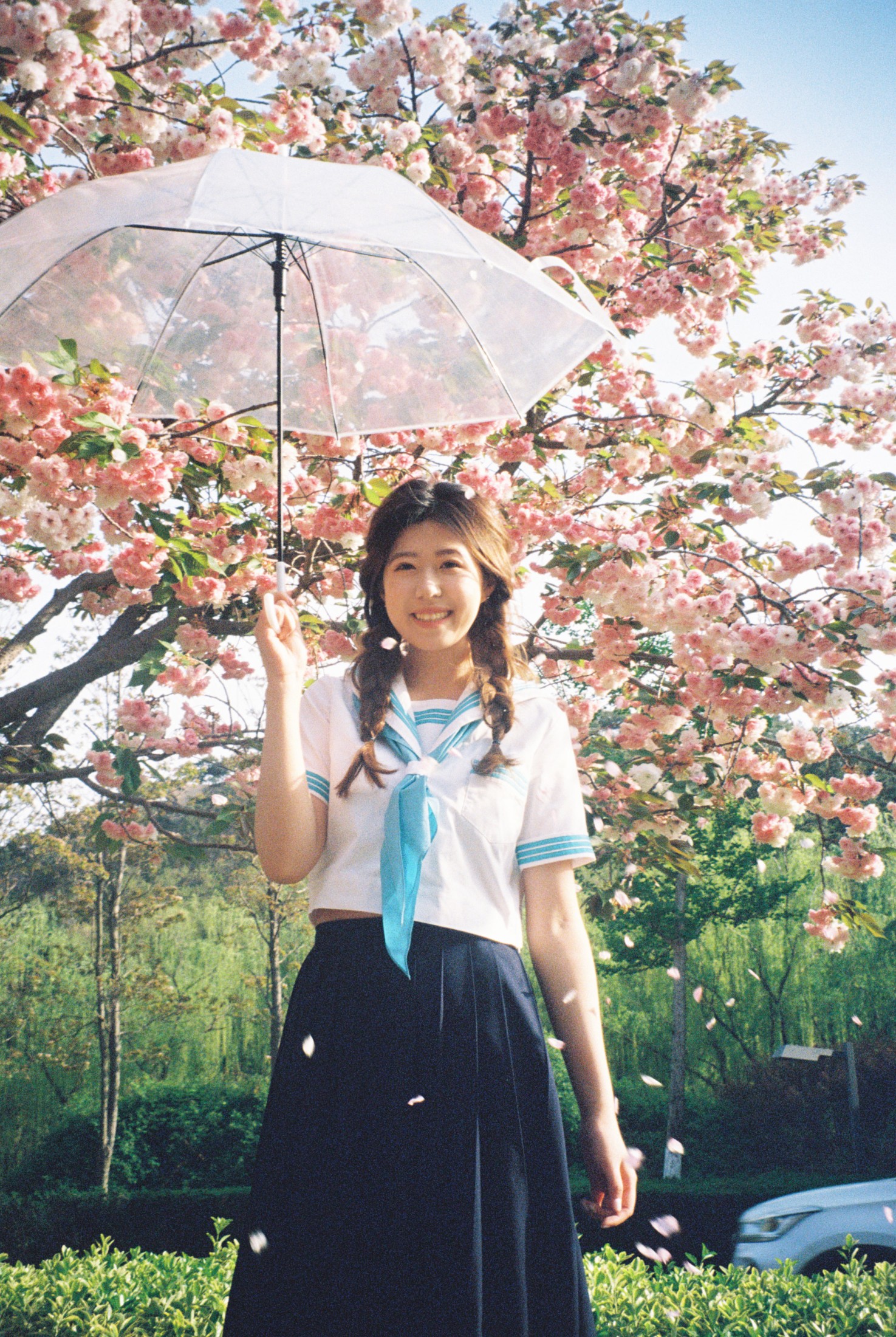 图片[1] - 。 - 《樱花物语》[14P] - 机器猫次元 - 机器猫次元