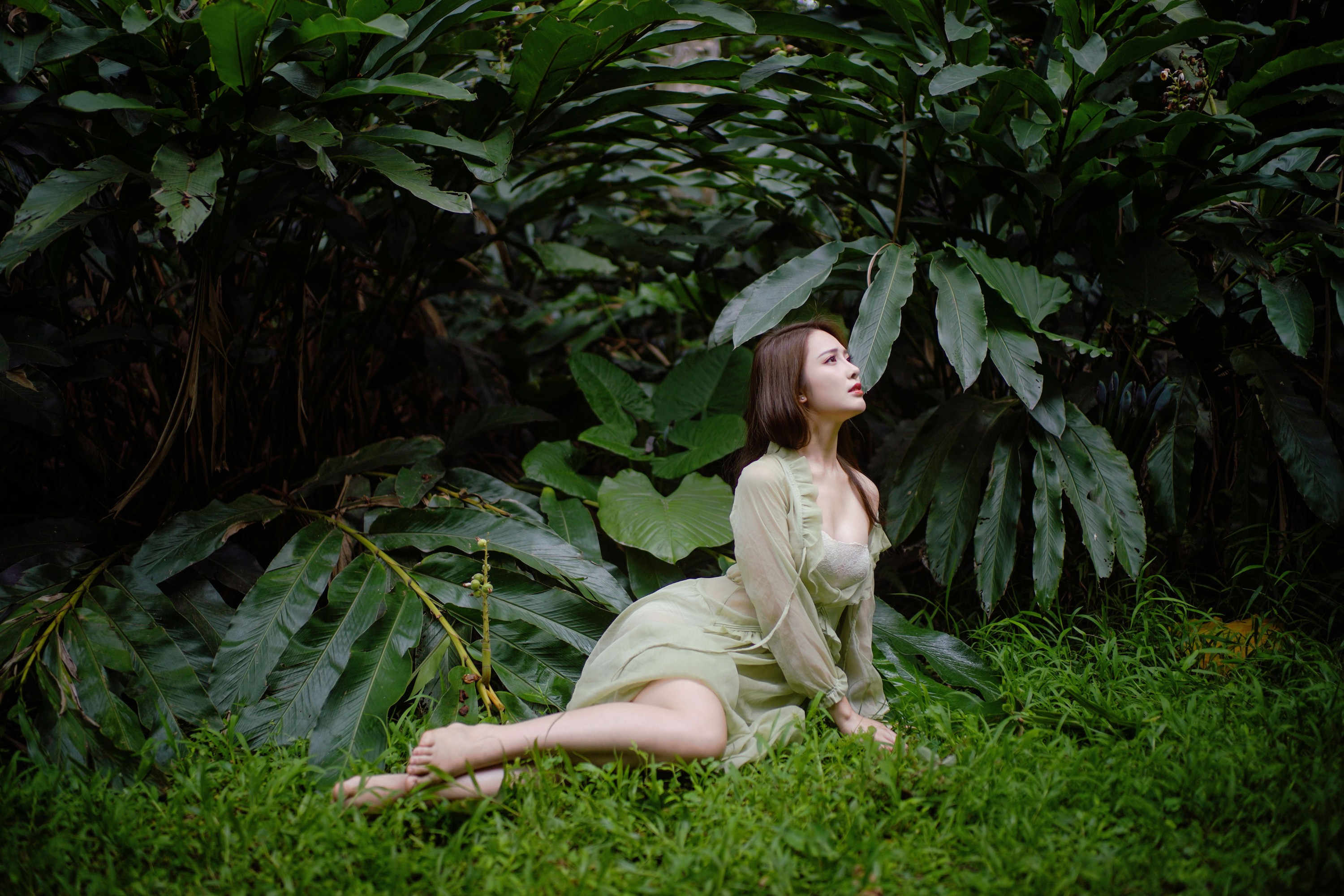 图片[5] - - 《森林童话：绿裙少女与光共舞》[39P] - 机器猫次元 - 机器猫次元