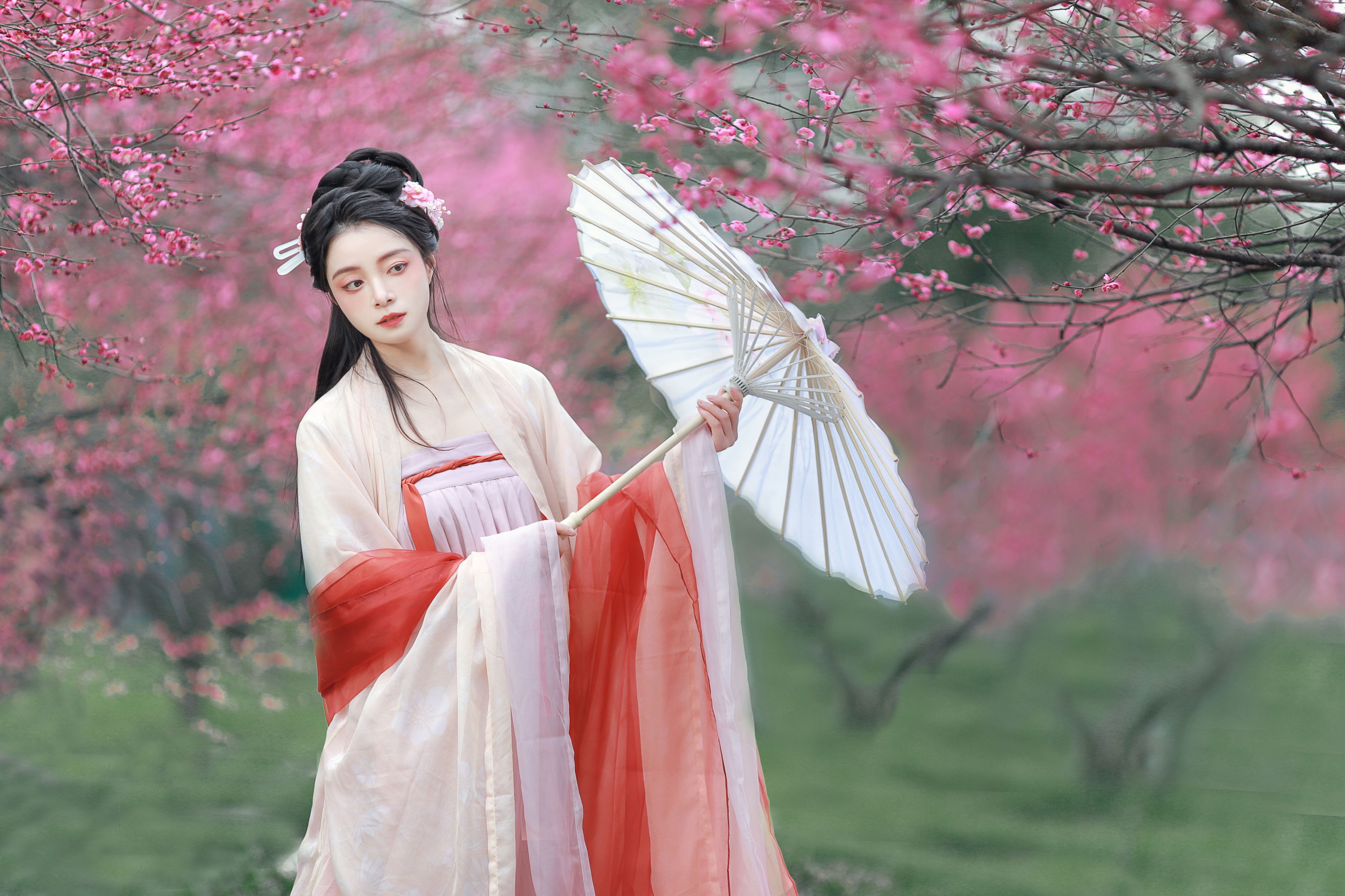 图片[3] - 岁岁如意 - 《红梅》[14P] - 机器猫次元 - 机器猫次元