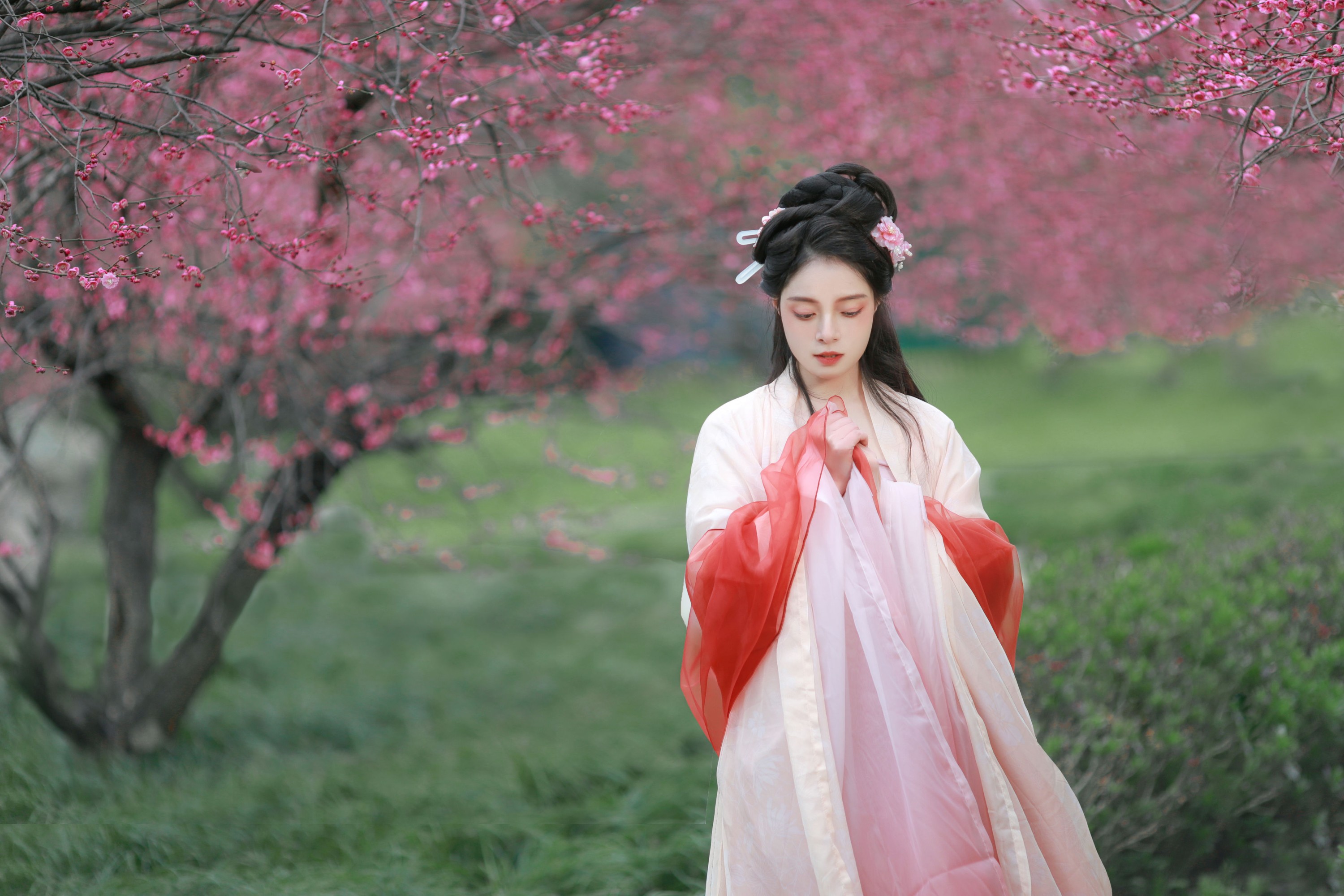 图片[5] - 岁岁如意 - 《红梅》[14P] - 机器猫次元 - 机器猫次元