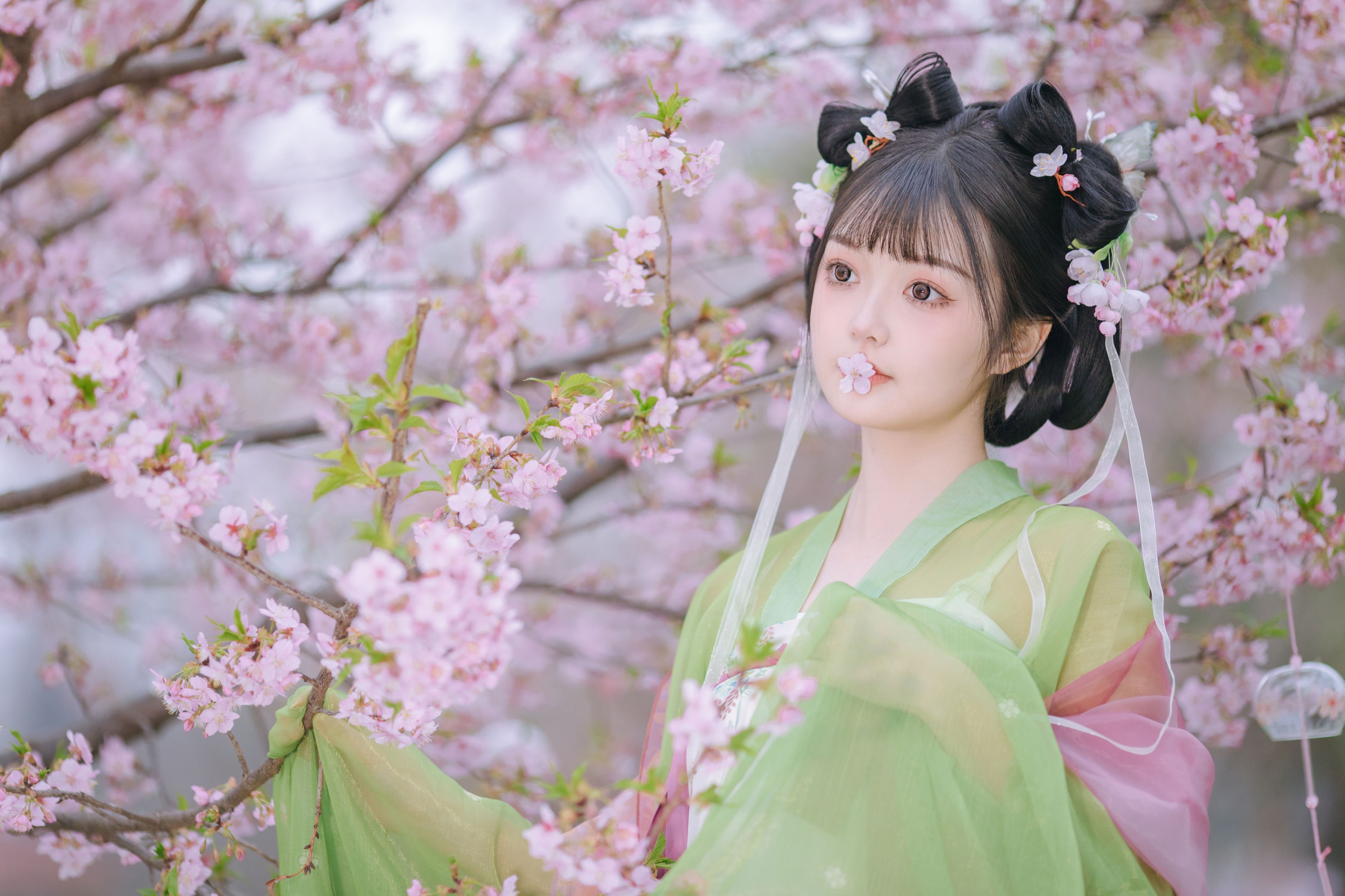 图片[1] - 百狸 - 《春知晓》[18P] - 机器猫次元 - 机器猫次元