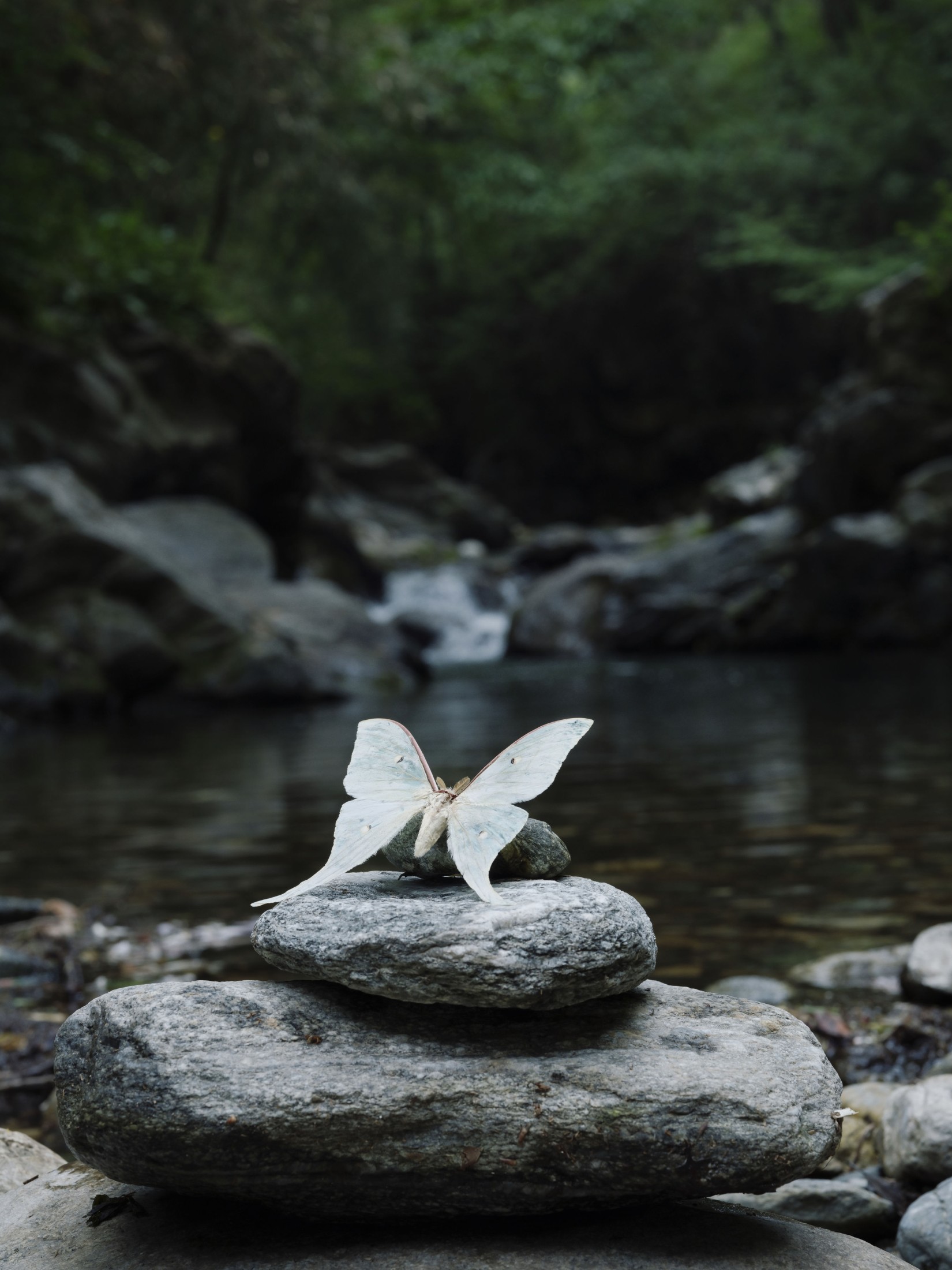 图片[4] - 万元里美 - 《破茧》[13P] - 机器猫次元 - 机器猫次元