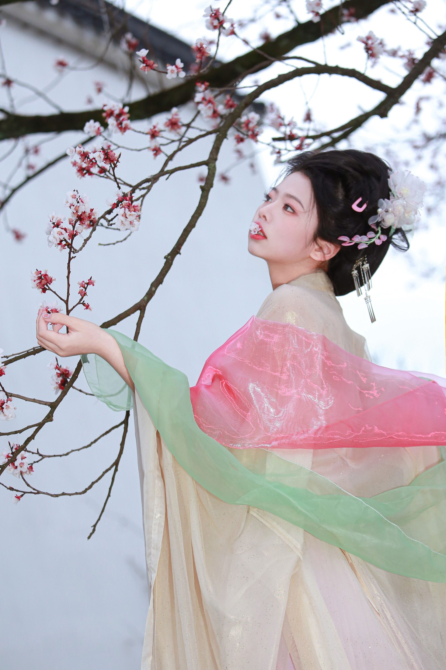 图片[4] - 肥肥 - 《山茶花神》[13P] - 机器猫次元 - 机器猫次元