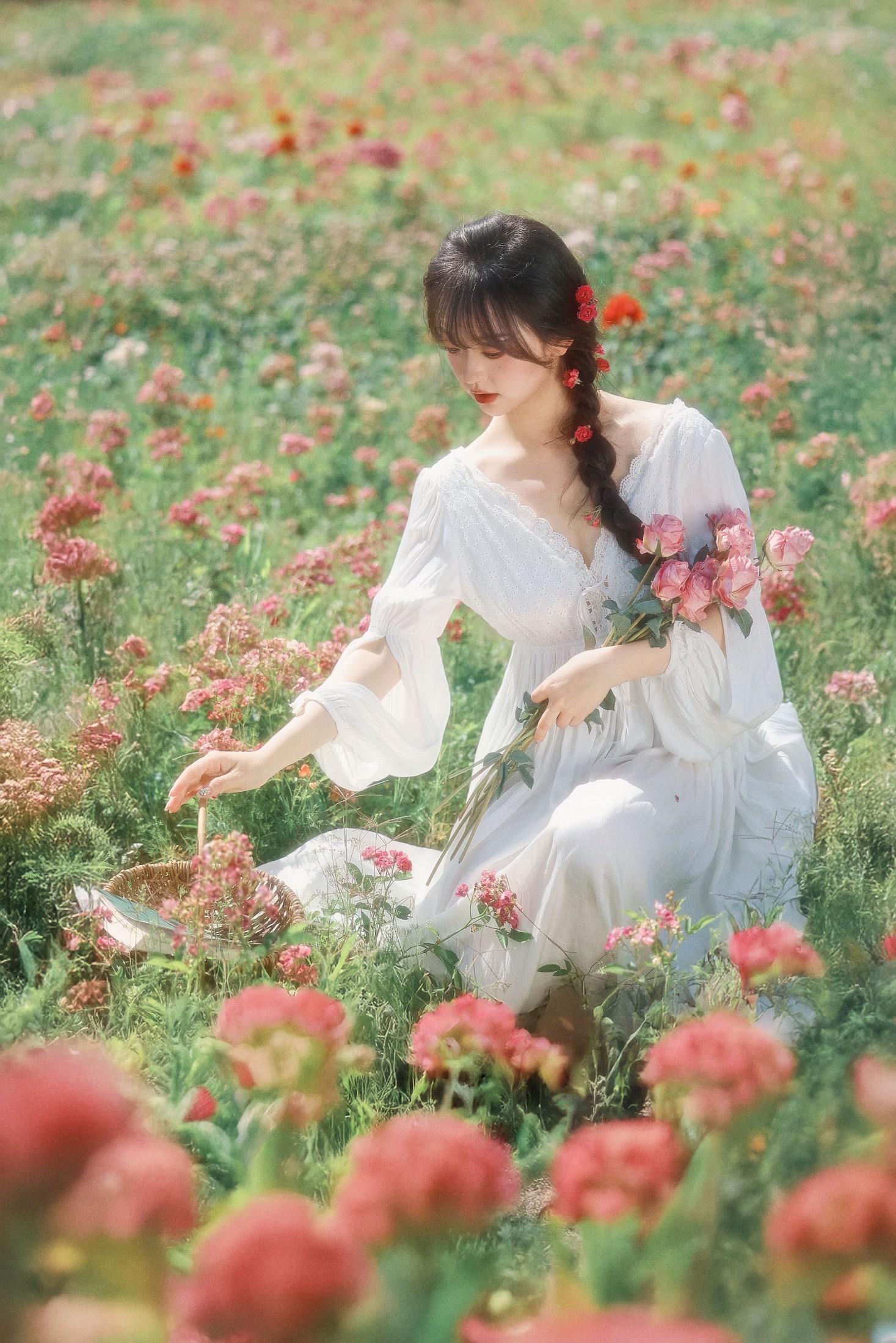 图片[3] - 狮子 - 《误入爱丽丝的后花园》[33P] - 机器猫次元 - 机器猫次元