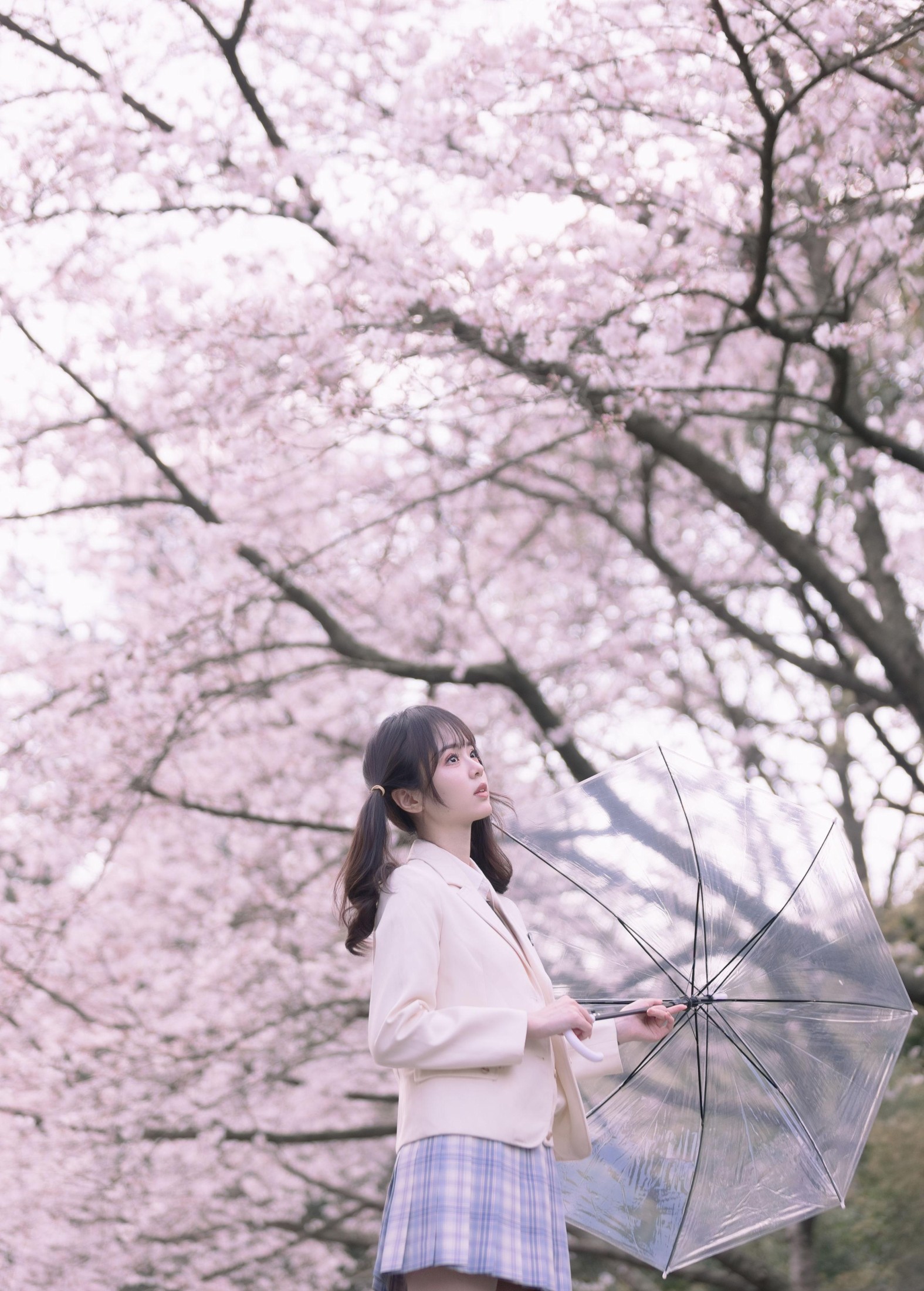 图片[2] - 刺青师豆芽 - 《樱花树下的少女》[24P] - 机器猫次元 - 机器猫次元