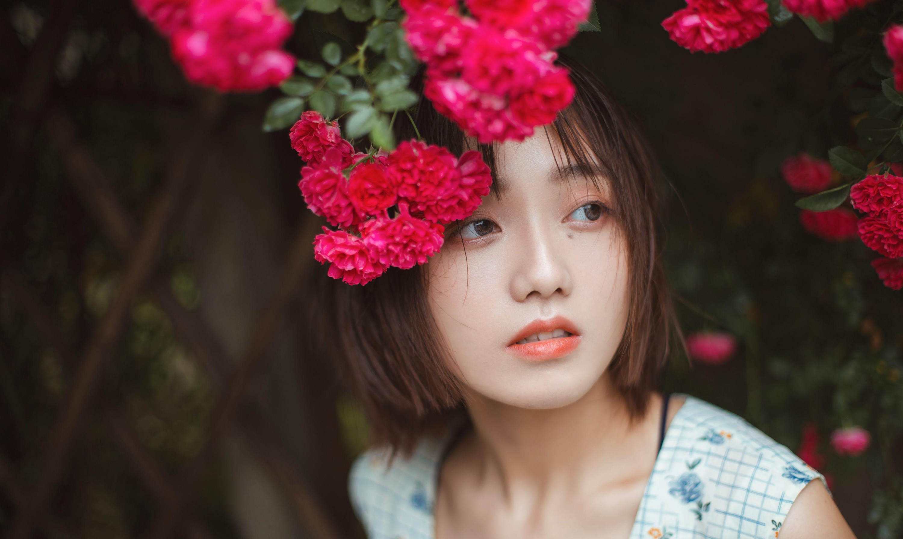 图片[1] - echo - 《青雉》[18P] - 机器猫次元 - 机器猫次元