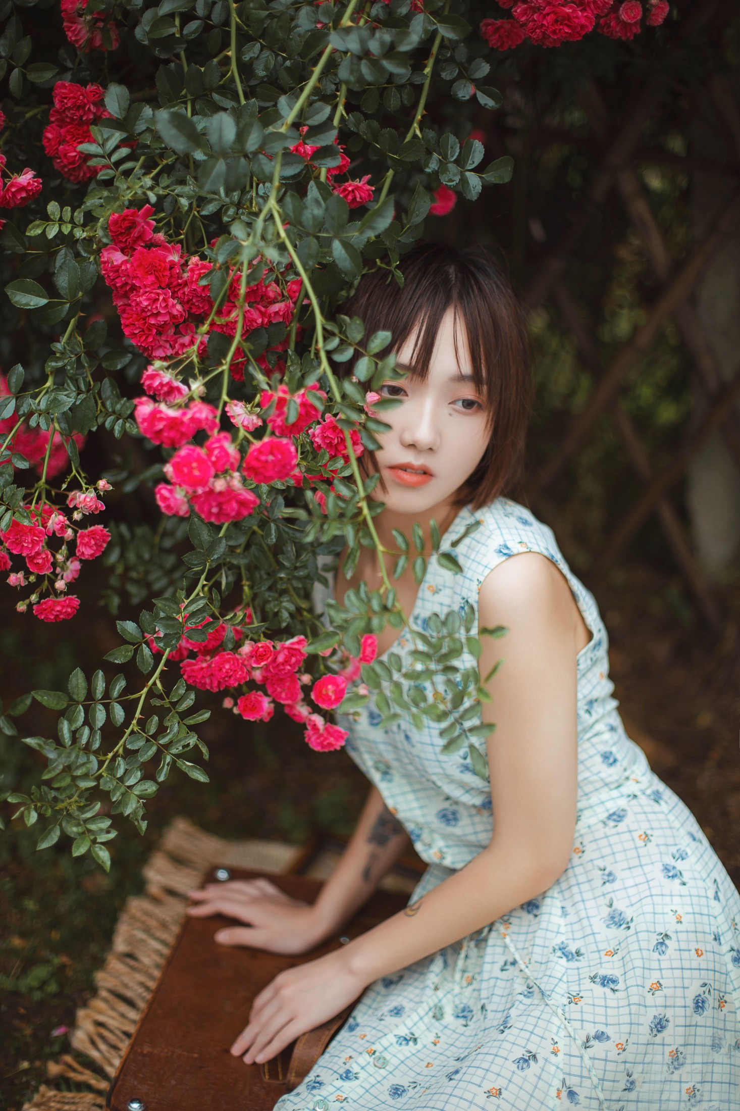 图片[5] - echo - 《青雉》[18P] - 机器猫次元 - 机器猫次元