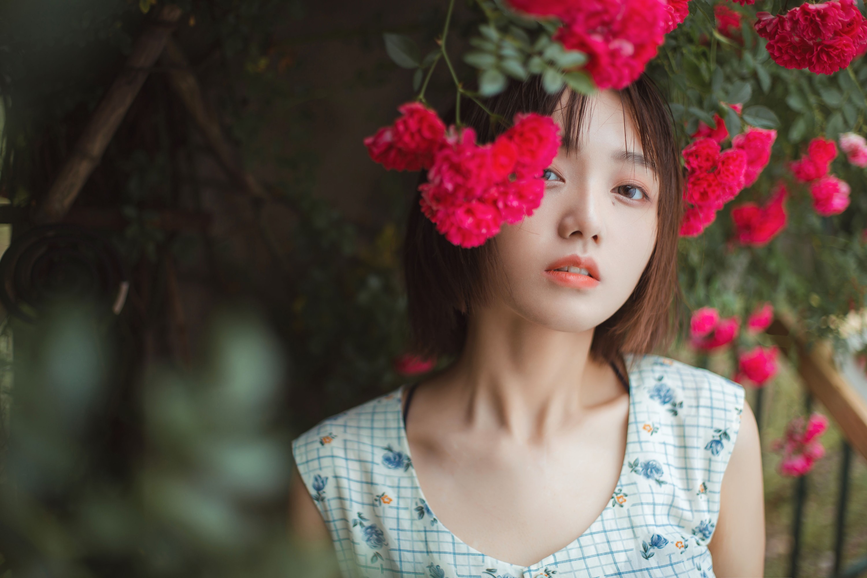 图片[7] - echo - 《青雉》[18P] - 机器猫次元 - 机器猫次元