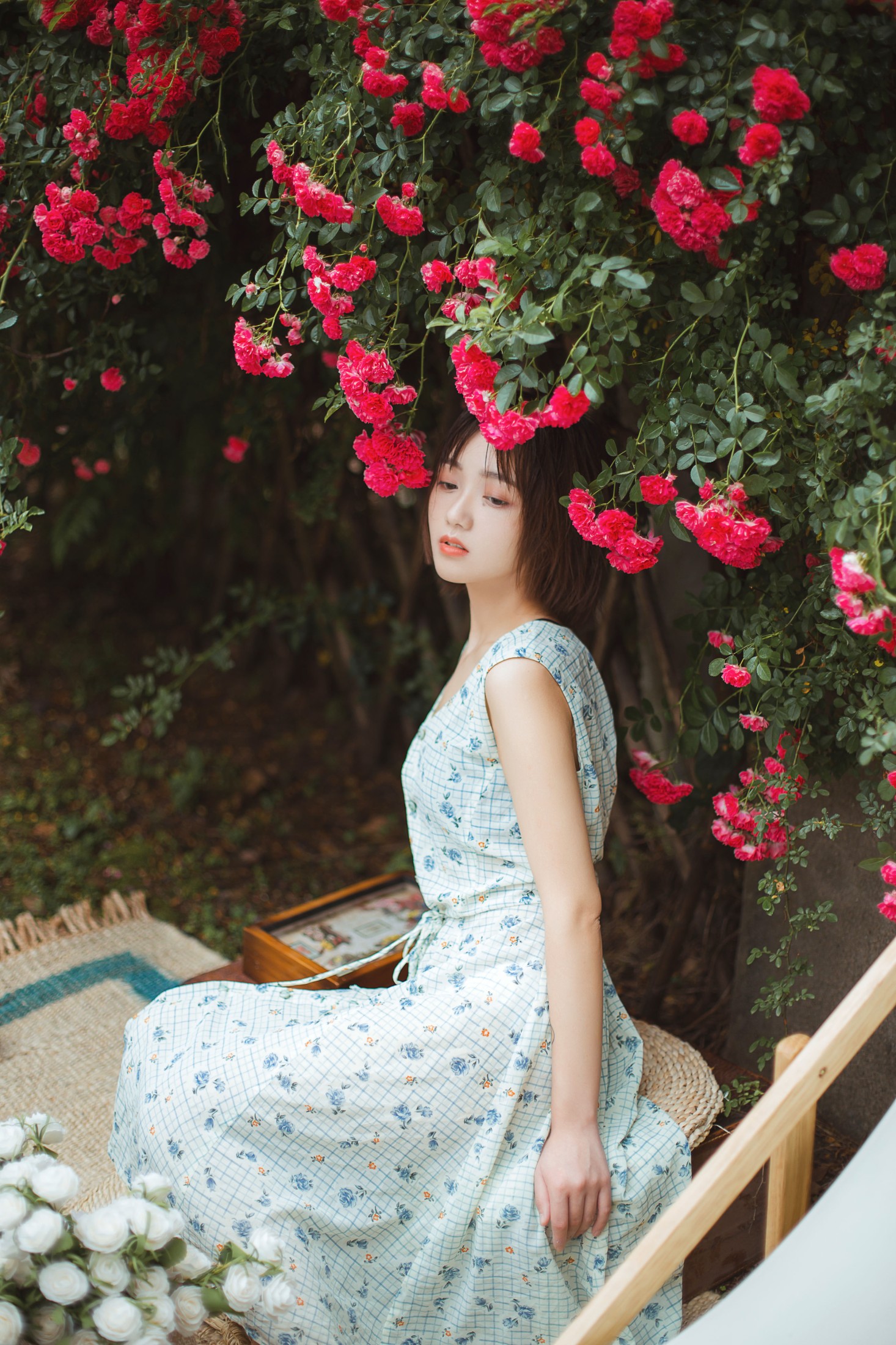 图片[3] - echo - 《青雉》[18P] - 机器猫次元 - 机器猫次元