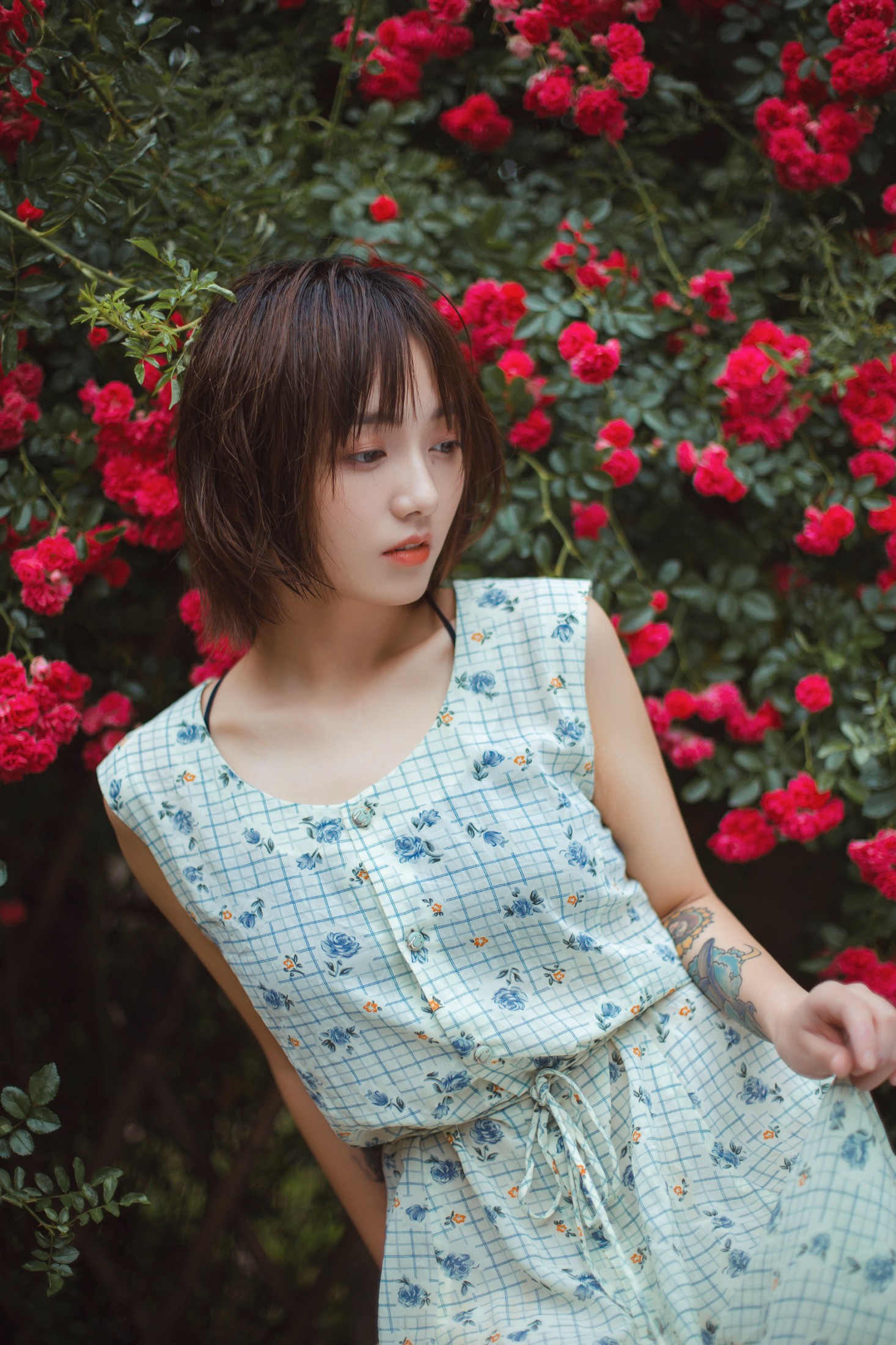图片[8] - echo - 《青雉》[18P] - 机器猫次元 - 机器猫次元