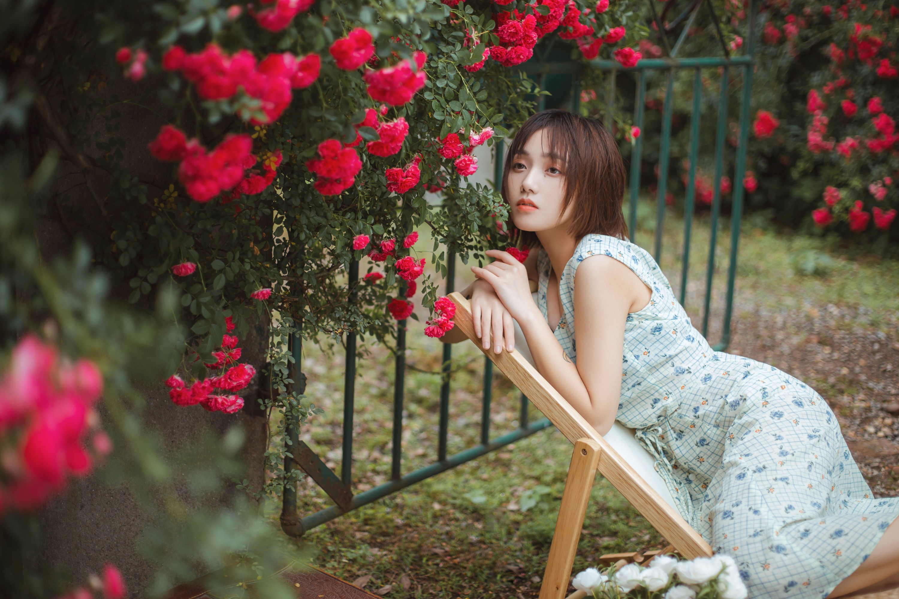 图片[2] - echo - 《青雉》[18P] - 机器猫次元 - 机器猫次元
