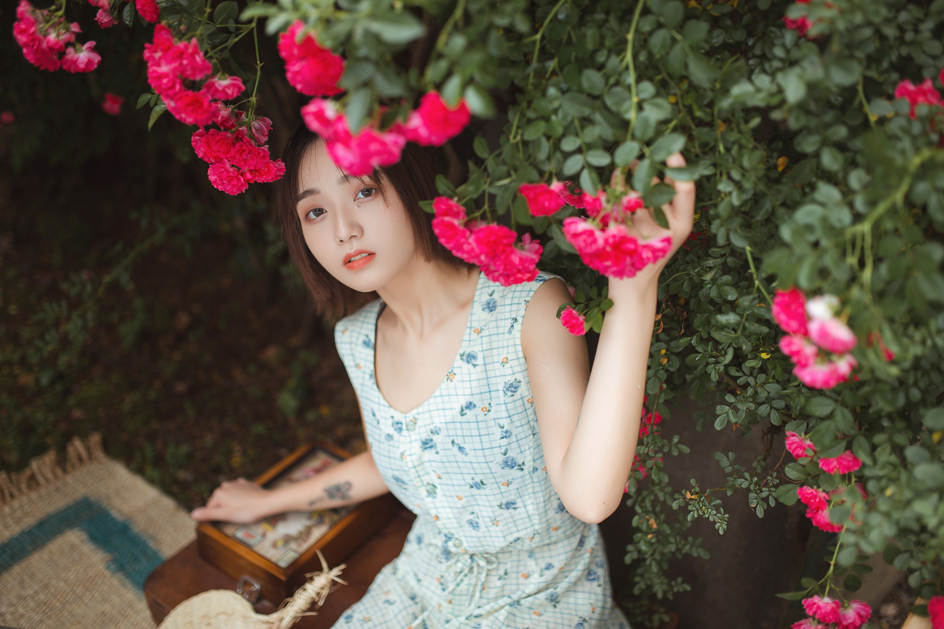 图片[4] - echo - 《青雉》[18P] - 机器猫次元 - 机器猫次元