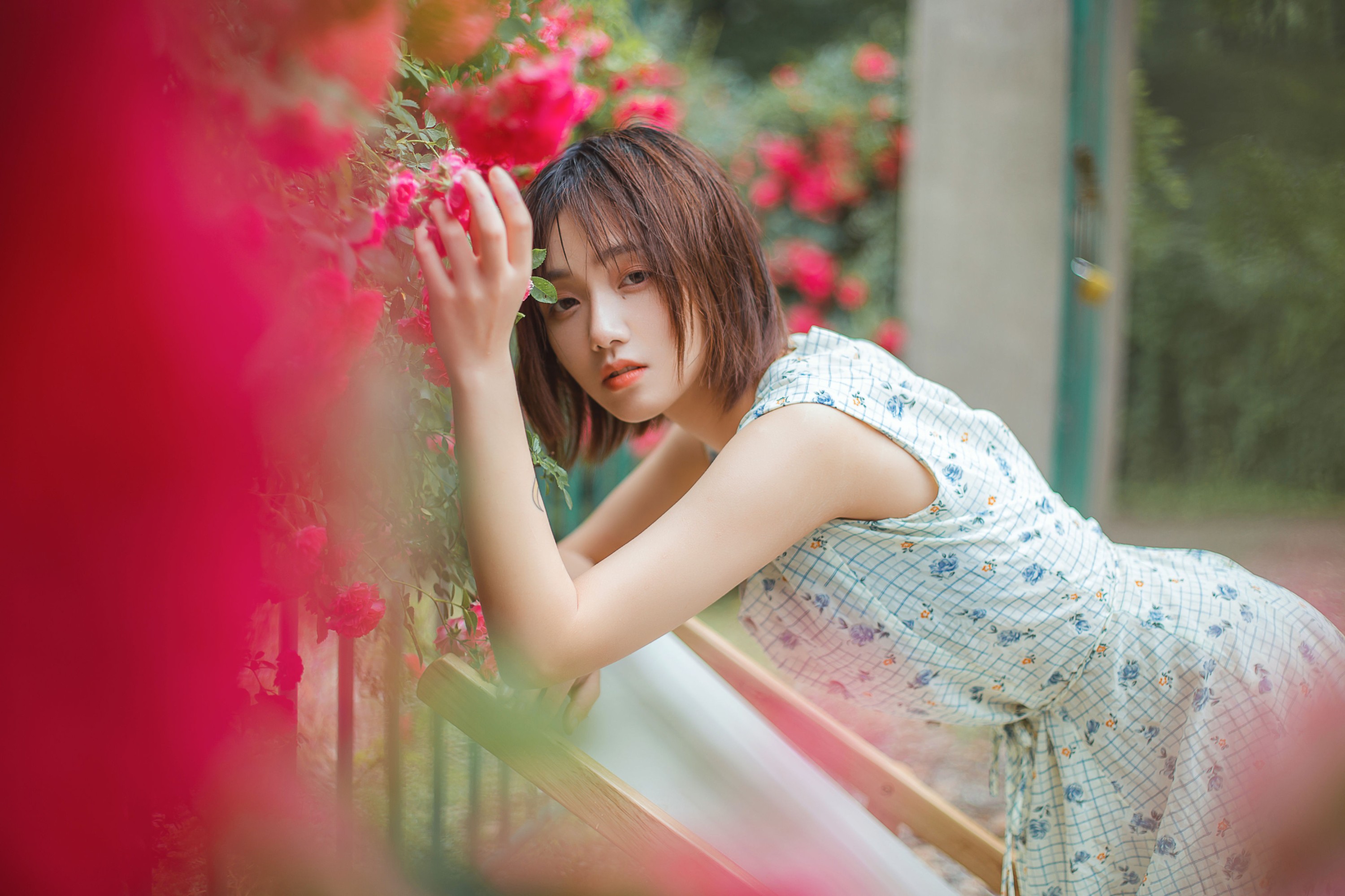 图片[6] - echo - 《青雉》[18P] - 机器猫次元 - 机器猫次元