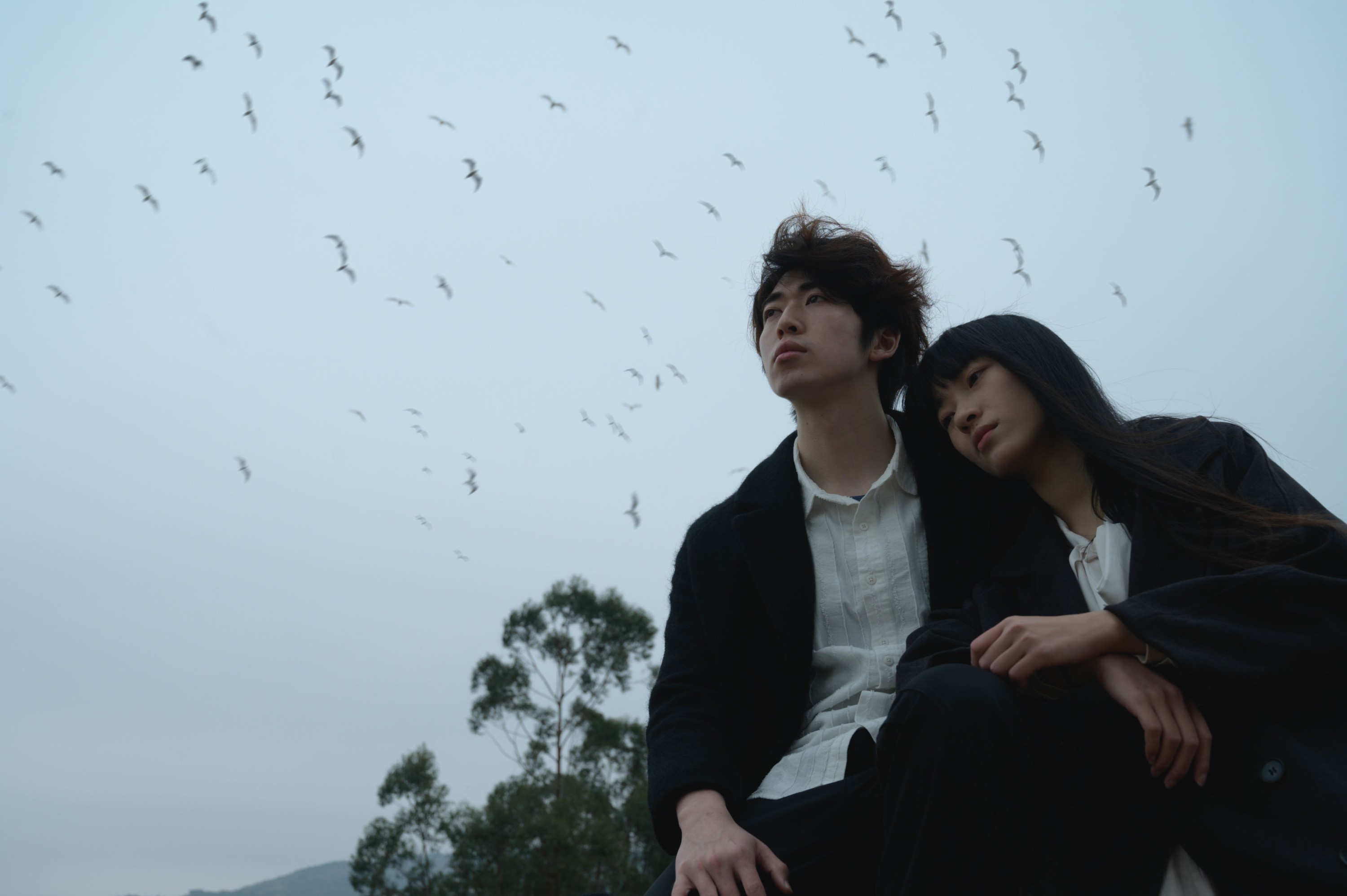 图片[6] - 山野小果 - 《只因人在风中 聚散不由你我》[22P] - 机器猫次元 - 机器猫次元