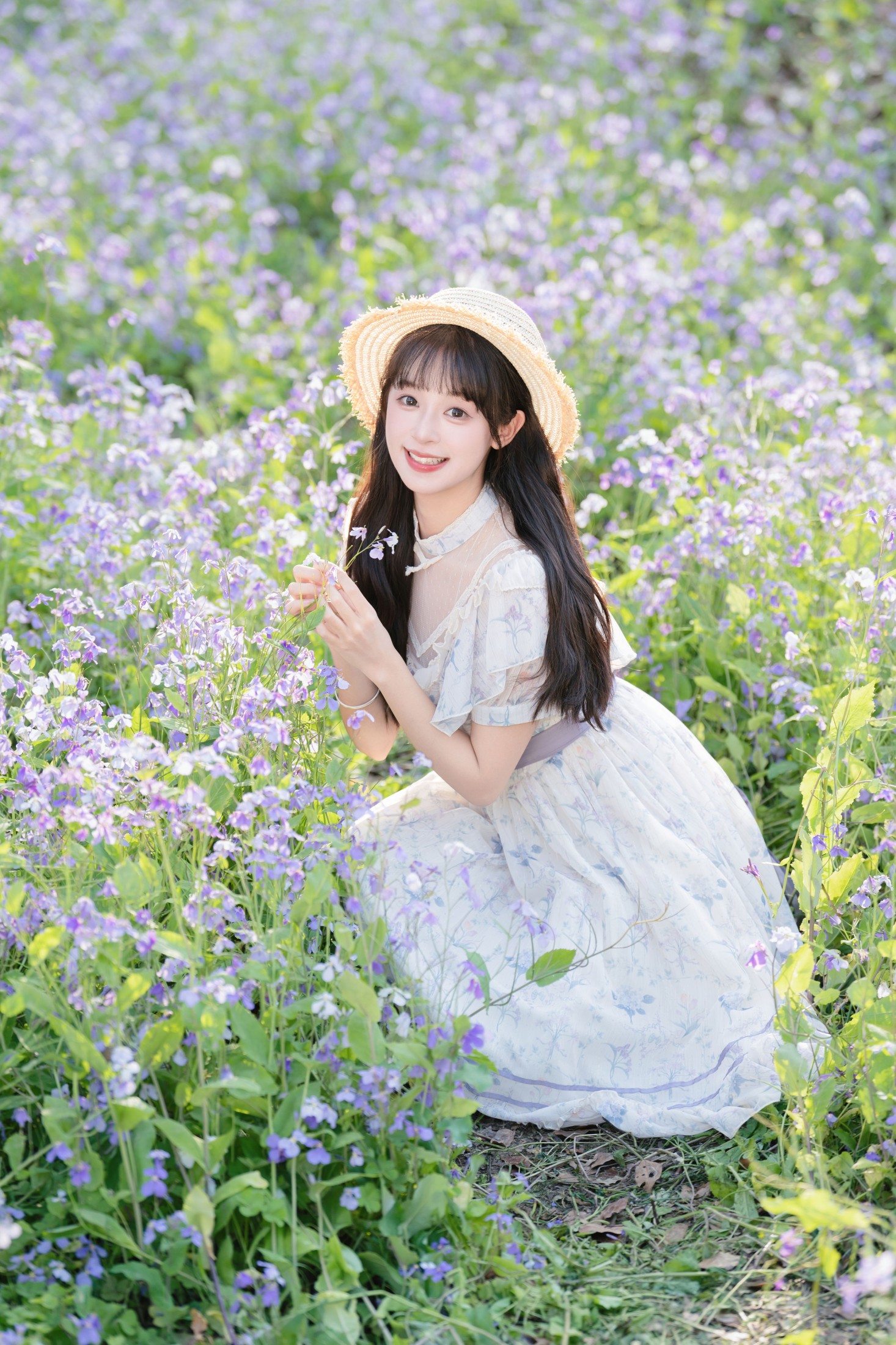 图片[1] - 夏芋小年 - 《二月兰花海》[22P] - 机器猫次元 - 机器猫次元