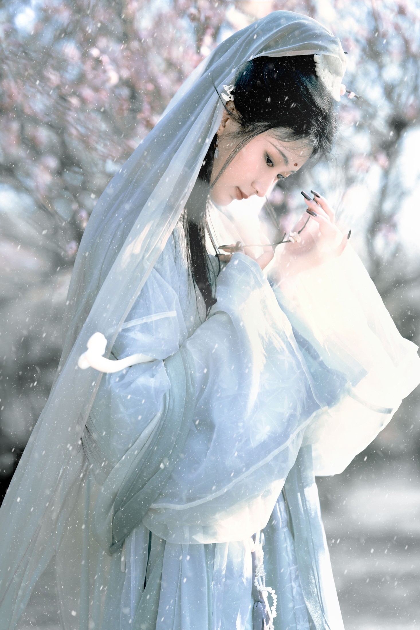 图片[1] - 荷里寒 - 《琉璃世界，白雪红梅》[14P] - 机器猫次元 - 机器猫次元