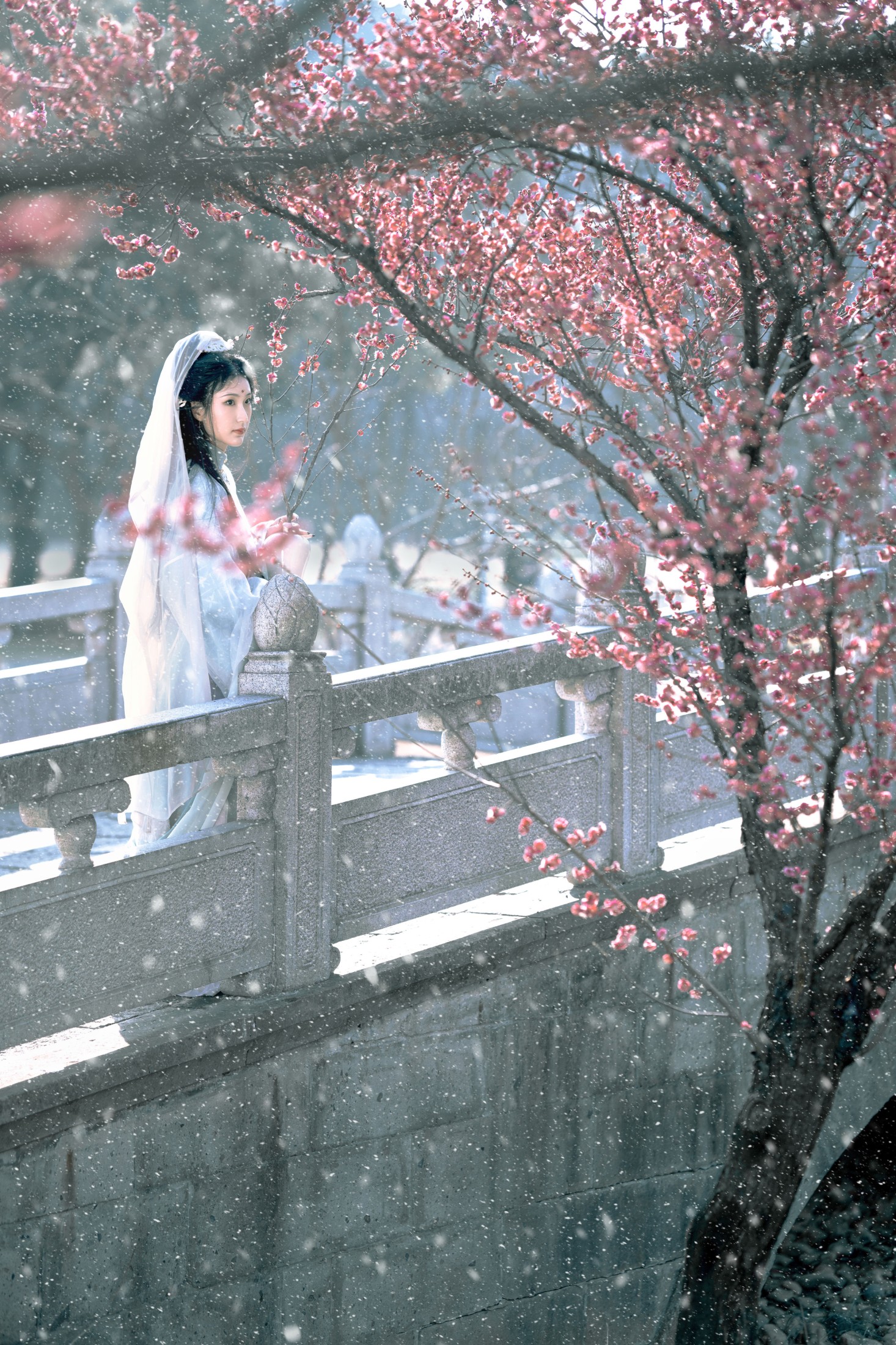 图片[8] - 荷里寒 - 《琉璃世界，白雪红梅》[14P] - 机器猫次元 - 机器猫次元