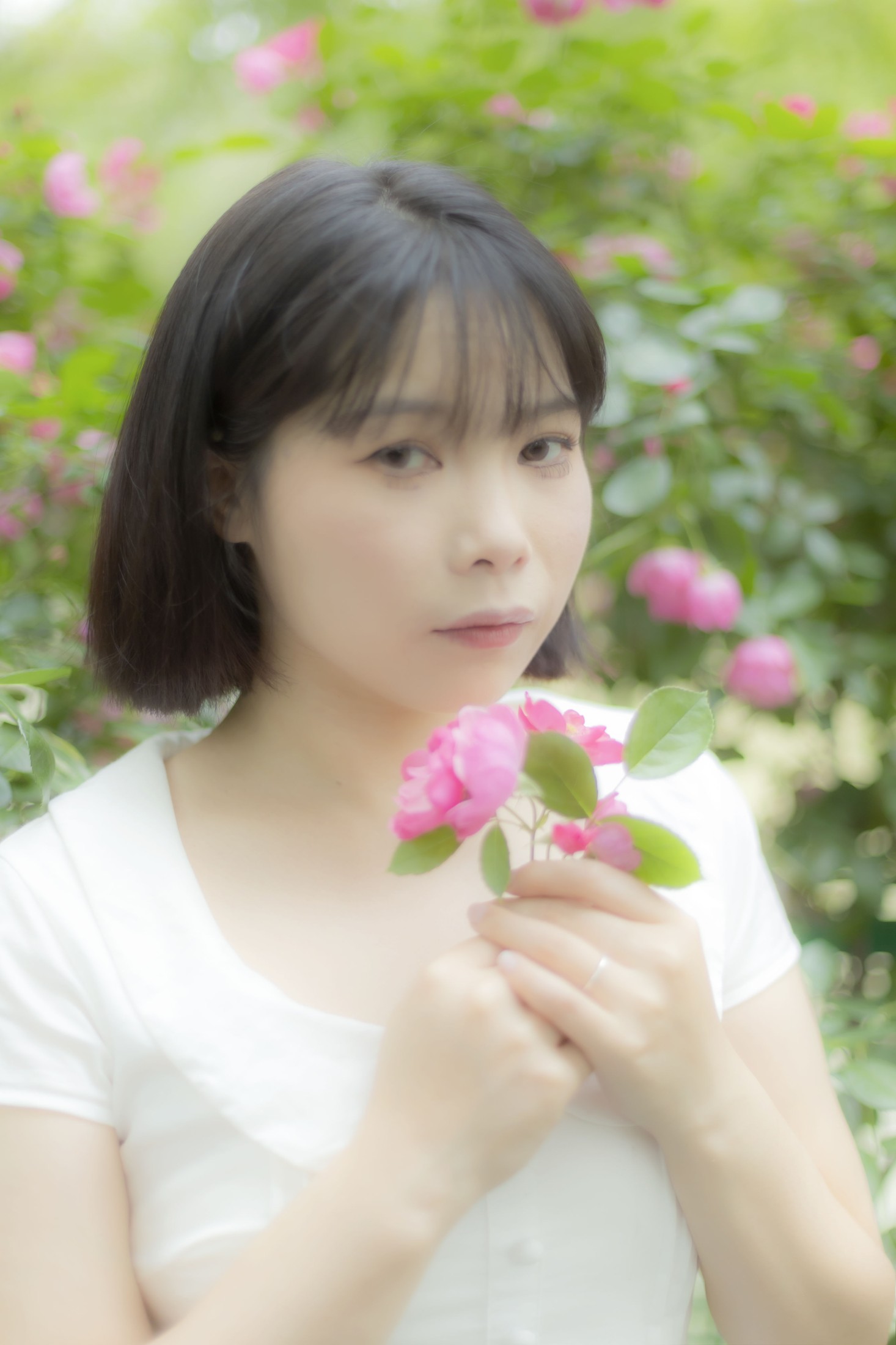 图片[3] - Y～ - 《蔷薇花女孩》[21P] - 机器猫次元 - 机器猫次元