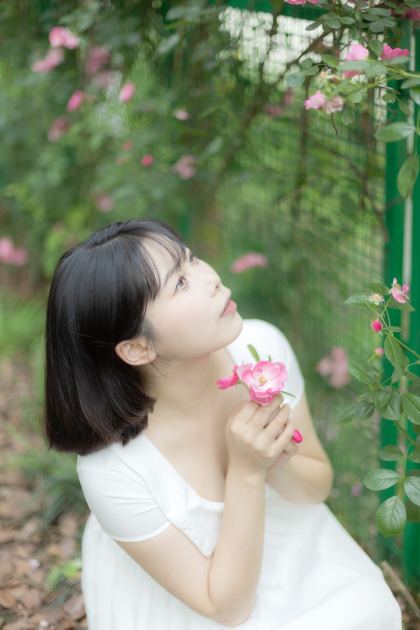 图片[6] - Y～ - 《蔷薇花女孩》[21P] - 机器猫次元 - 机器猫次元