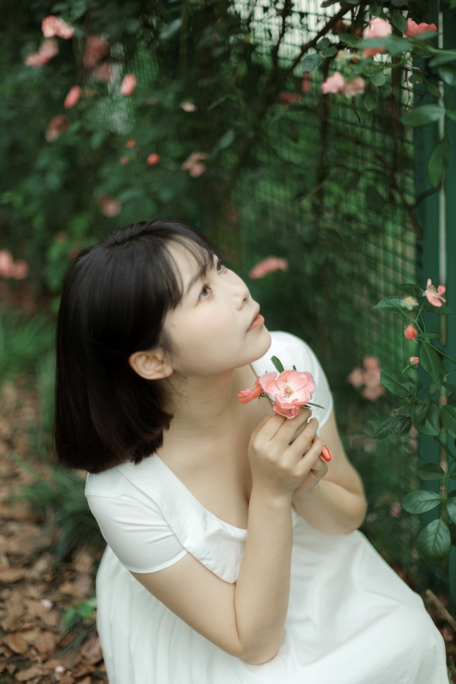图片[7] - Y～ - 《蔷薇花女孩》[21P] - 机器猫次元 - 机器猫次元