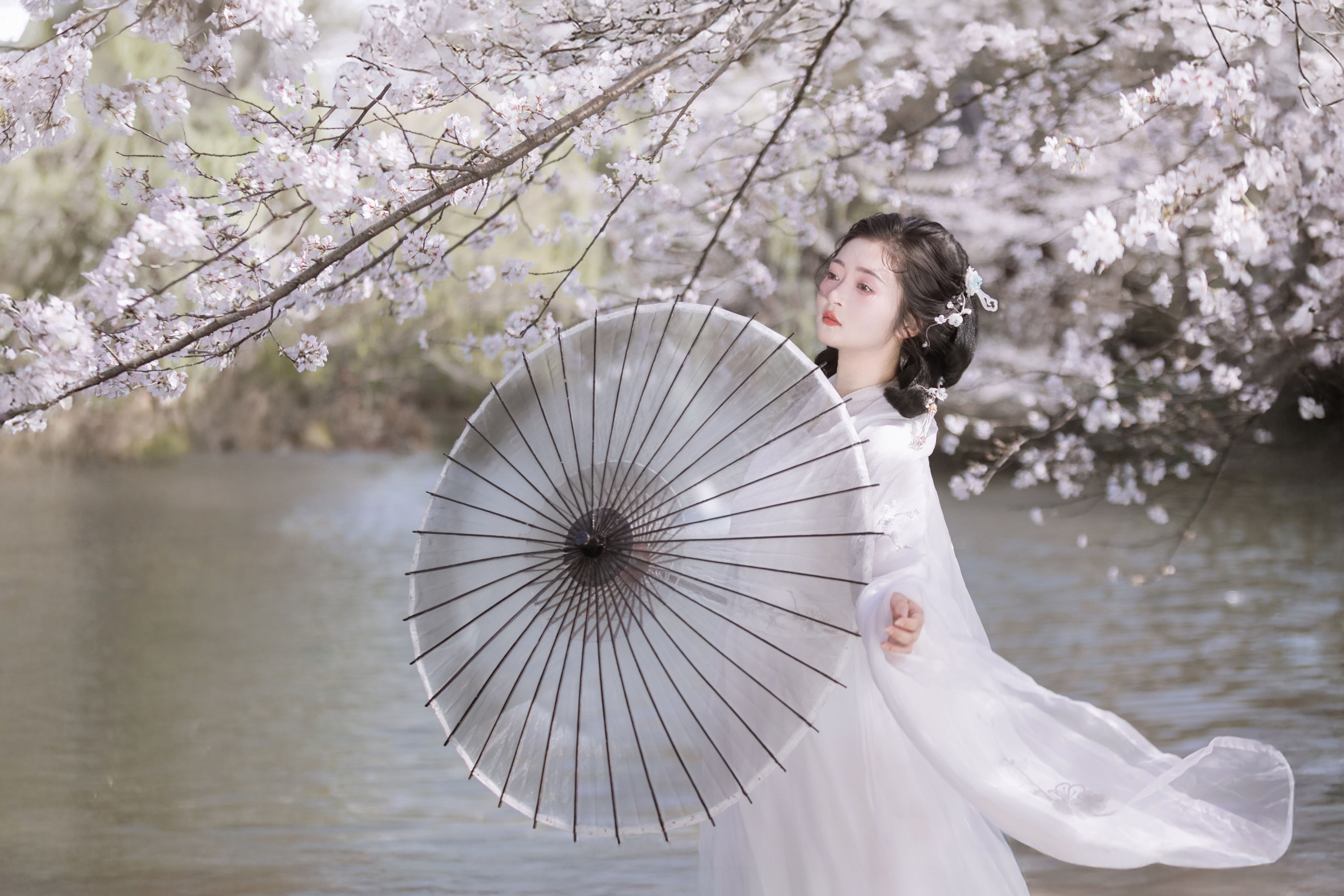 图片[4] - 比奇堡最漂亮的女人 - 《故园赏樱》[30P] - 机器猫次元 - 机器猫次元