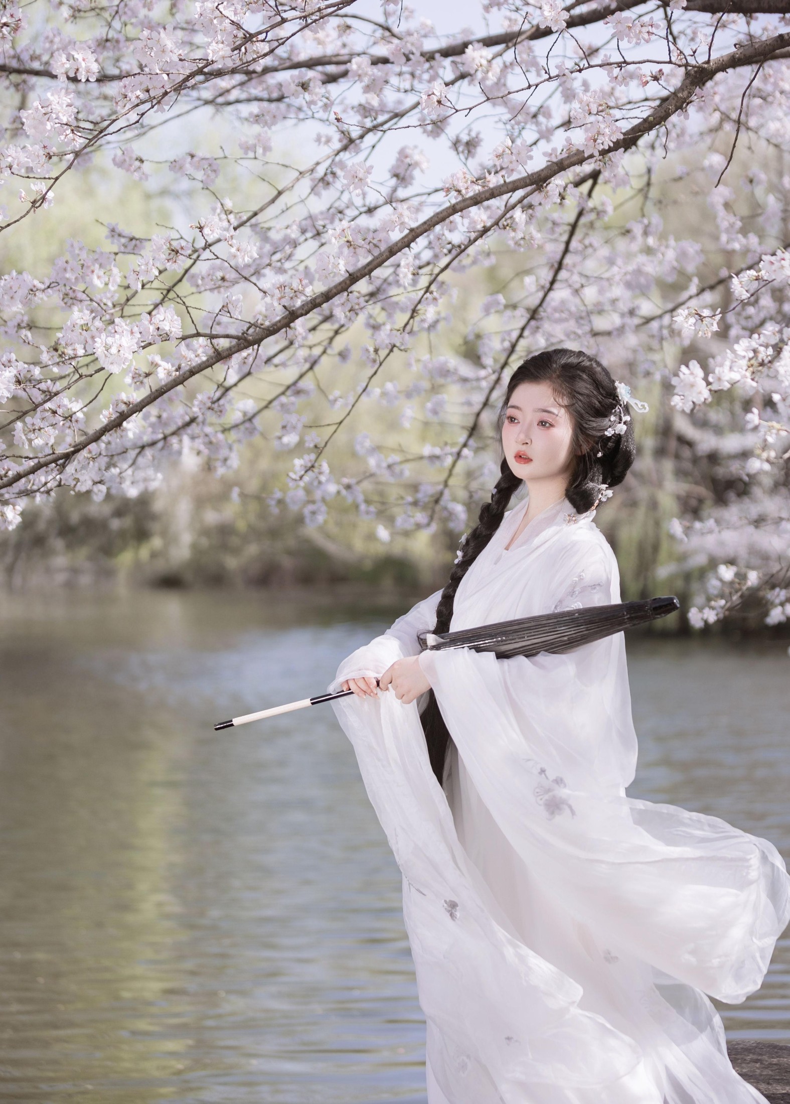 图片[2] - 比奇堡最漂亮的女人 - 《故园赏樱》[30P] - 机器猫次元 - 机器猫次元