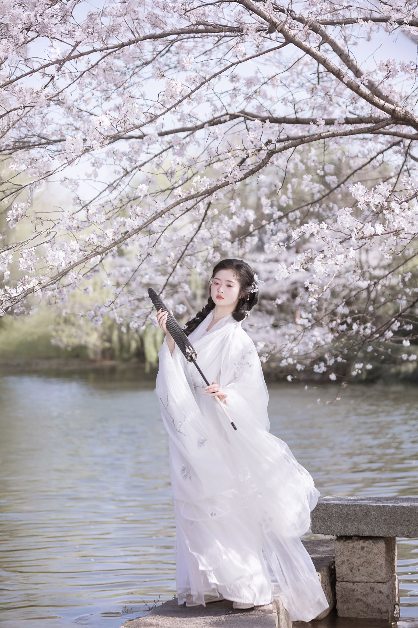 图片[8] - 比奇堡最漂亮的女人 - 《故园赏樱》[30P] - 机器猫次元 - 机器猫次元