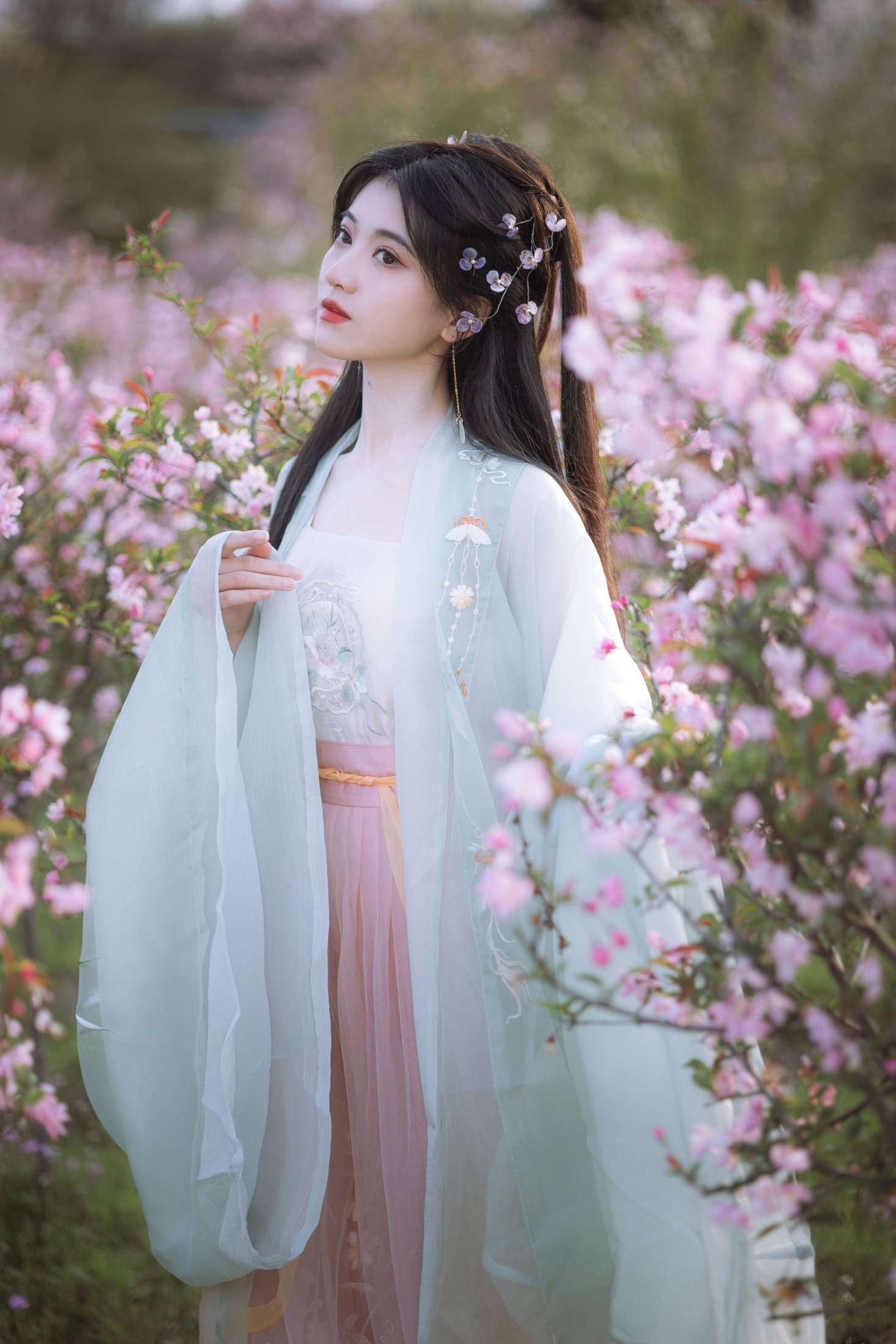 图片[3] - 当初叫人家小田田 - 《春来时》[17P] - 机器猫次元 - 机器猫次元