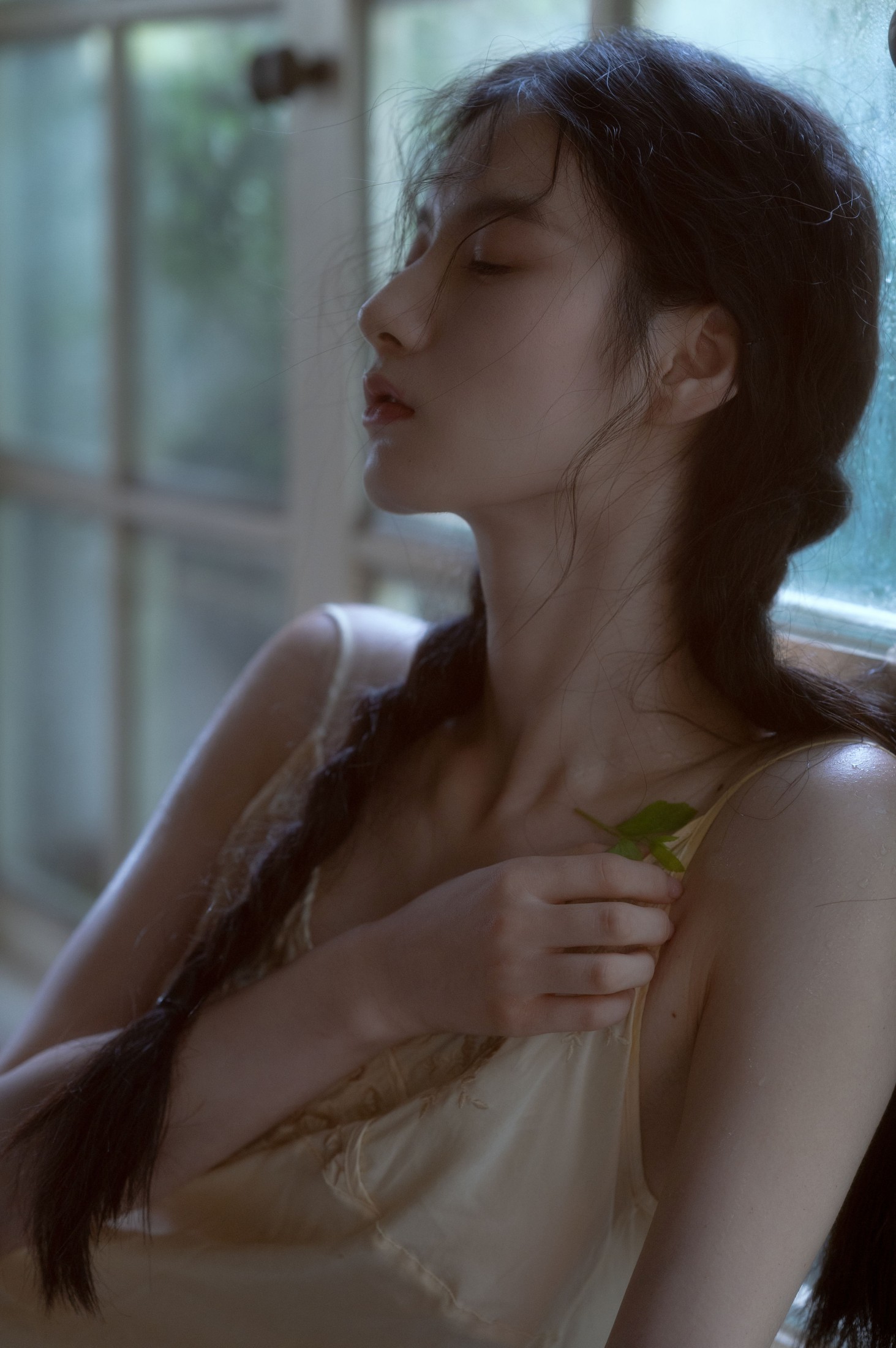 图片[3] - tree - 《贝拉花园》[53P] - 机器猫次元 - 机器猫次元