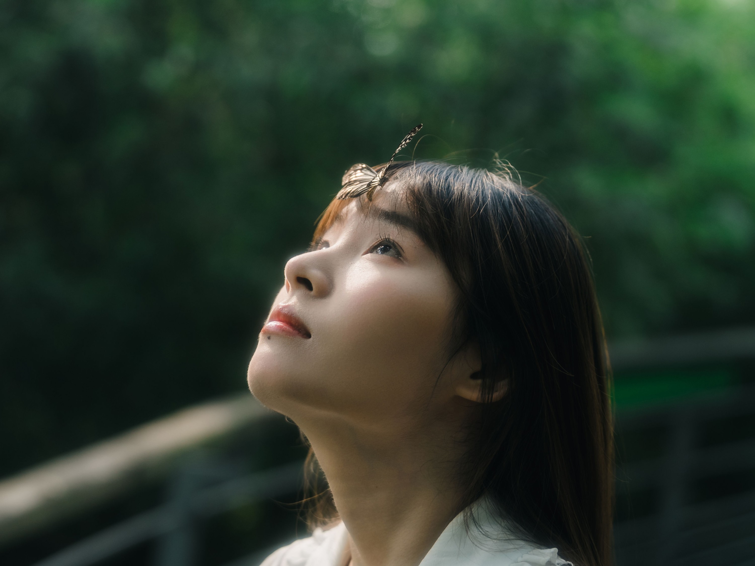 图片[8] - 夏了个夏天 - 《快乐就像蝴蝶一样短暂停留》[15P] - 机器猫次元 - 机器猫次元