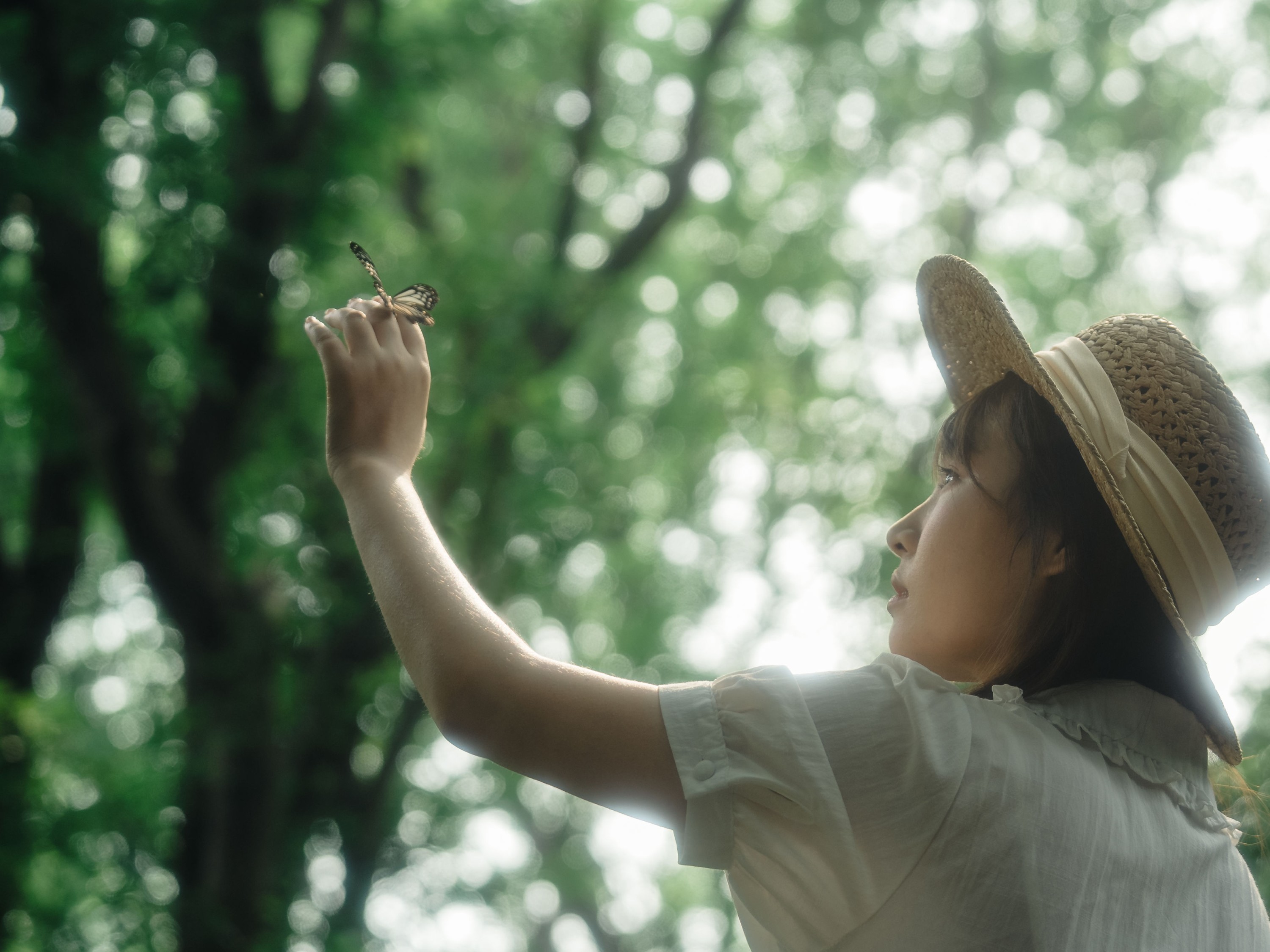 图片[7] - 夏了个夏天 - 《快乐就像蝴蝶一样短暂停留》[15P] - 机器猫次元 - 机器猫次元