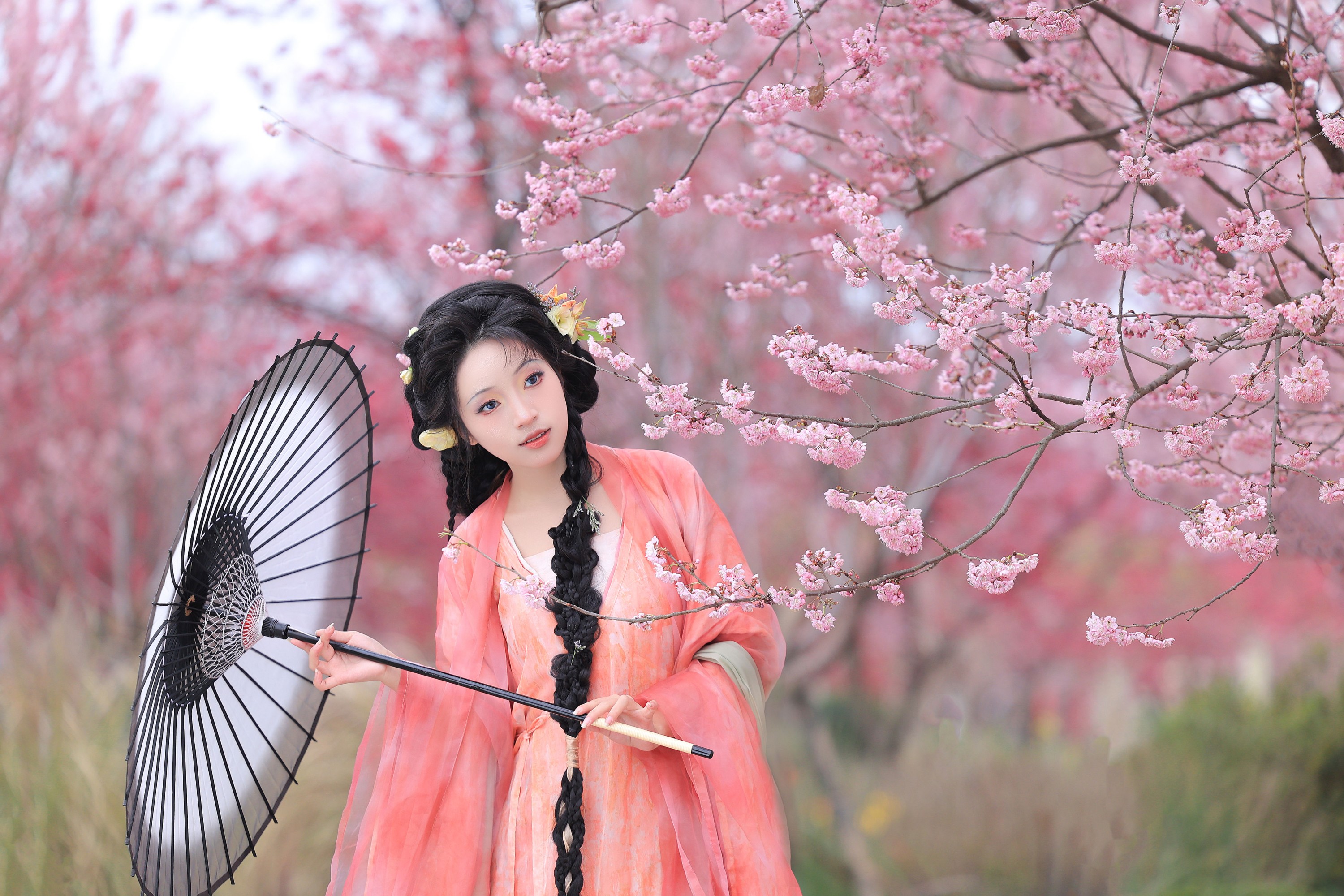 图片[1] - 君不君 - 《繁花似锦》[15P] - 机器猫次元 - 机器猫次元