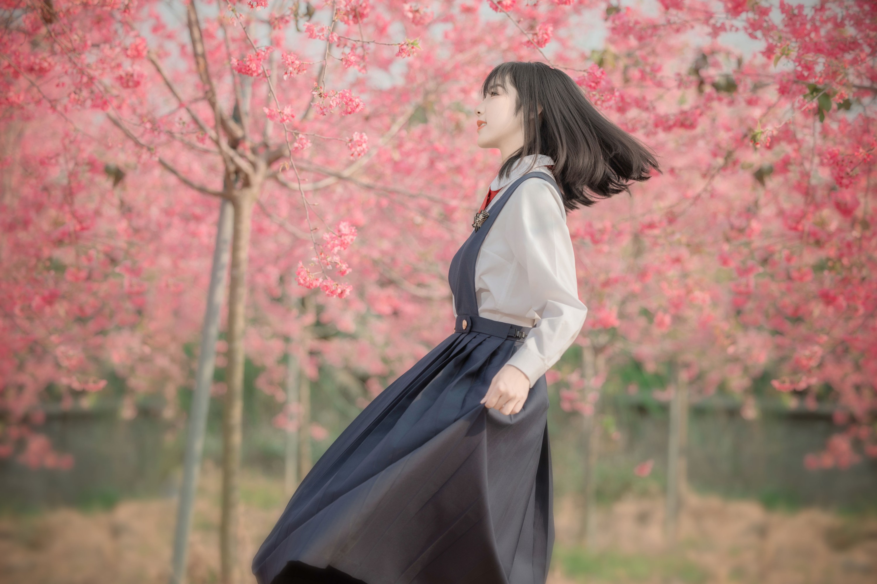 图片[3] - 简小橙 - 《樱花树下》[27P] - 机器猫次元 - 机器猫次元