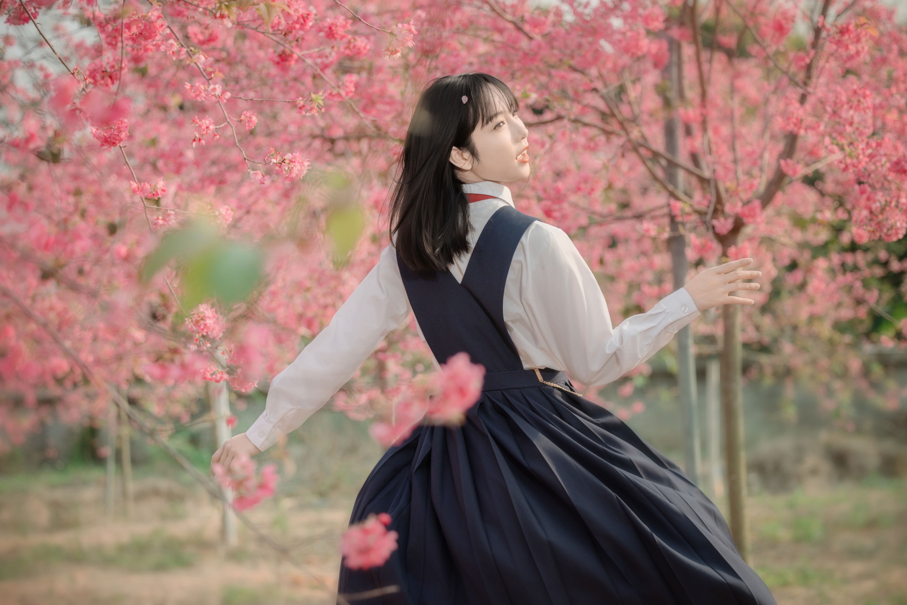 图片[5] - 简小橙 - 《樱花树下》[27P] - 机器猫次元 - 机器猫次元