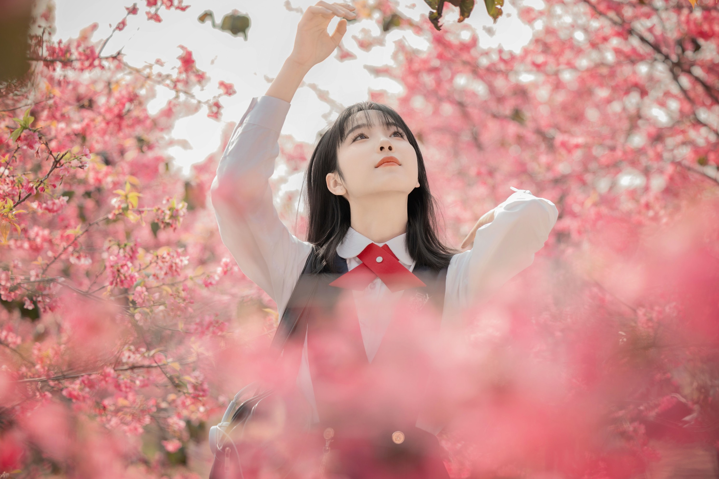 图片[7] - 简小橙 - 《樱花树下》[27P] - 机器猫次元 - 机器猫次元