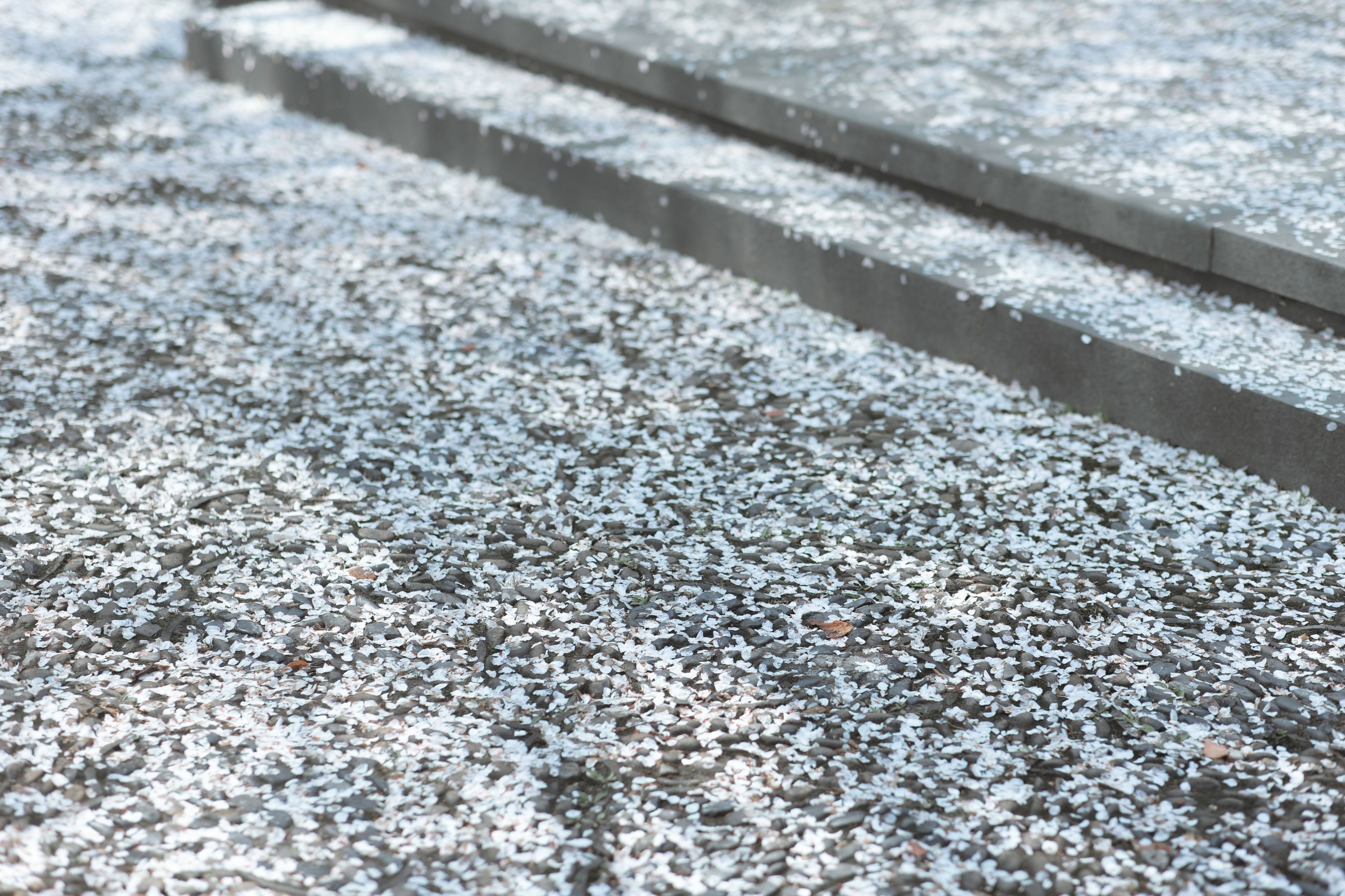 图片[5] - 穆晏秋 - 《庭前雪》[21P] - 机器猫次元 - 机器猫次元