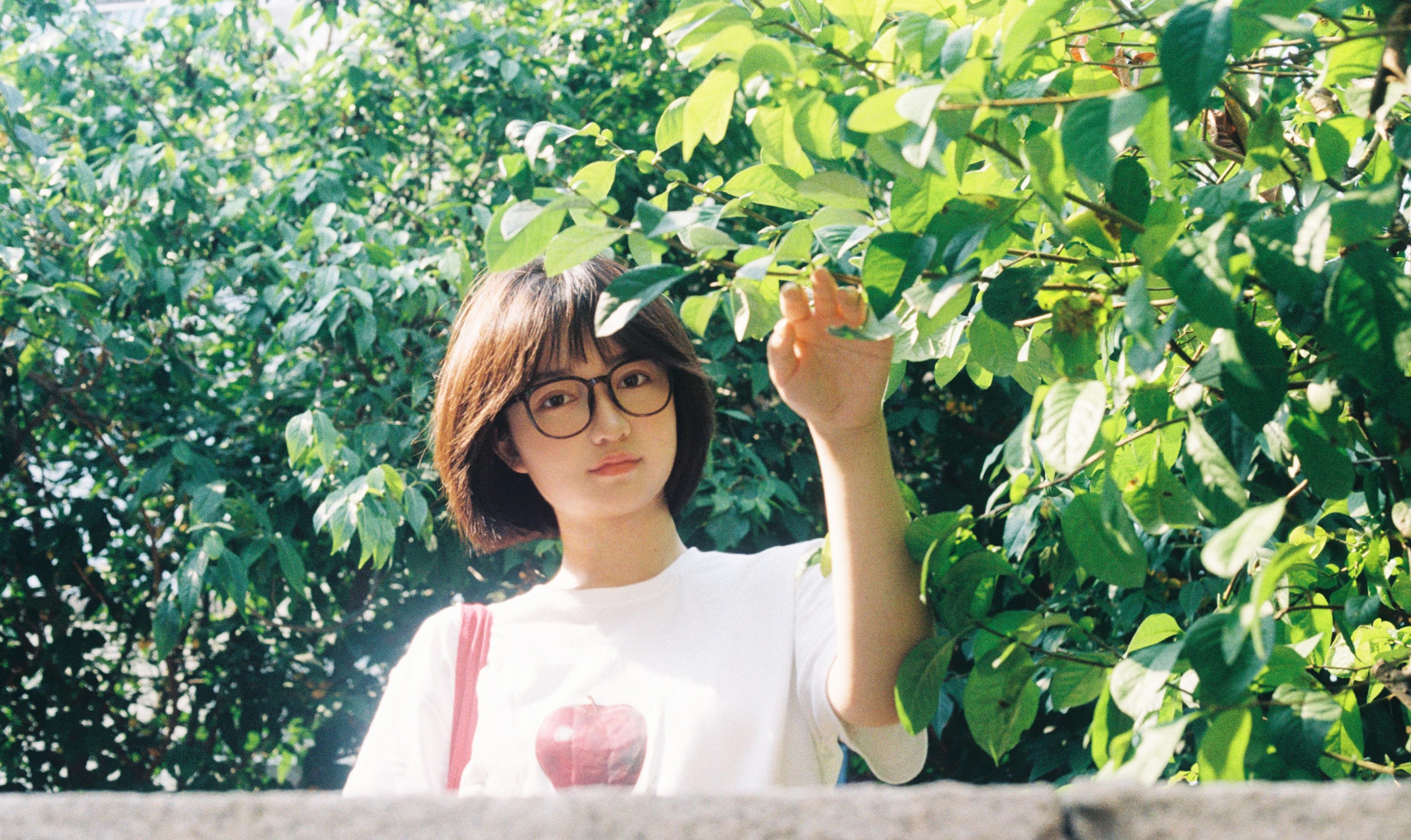 图片[2] - 。 - 《青岛的夏》[14P] - 机器猫次元 - 机器猫次元