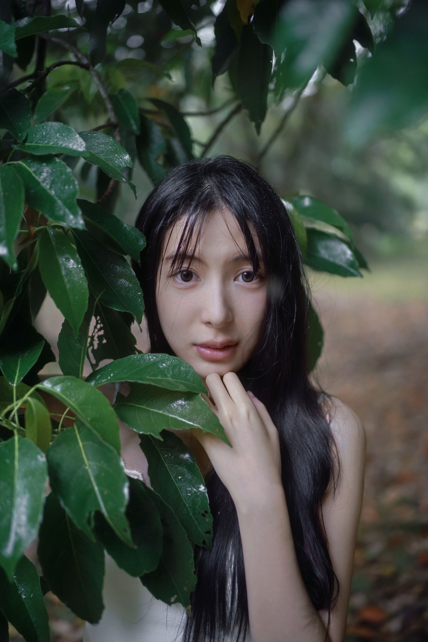 图片[3] - 0831 - 《雨林微雨・少女的湿漉漉童话》[36P] - 机器猫次元 - 机器猫次元