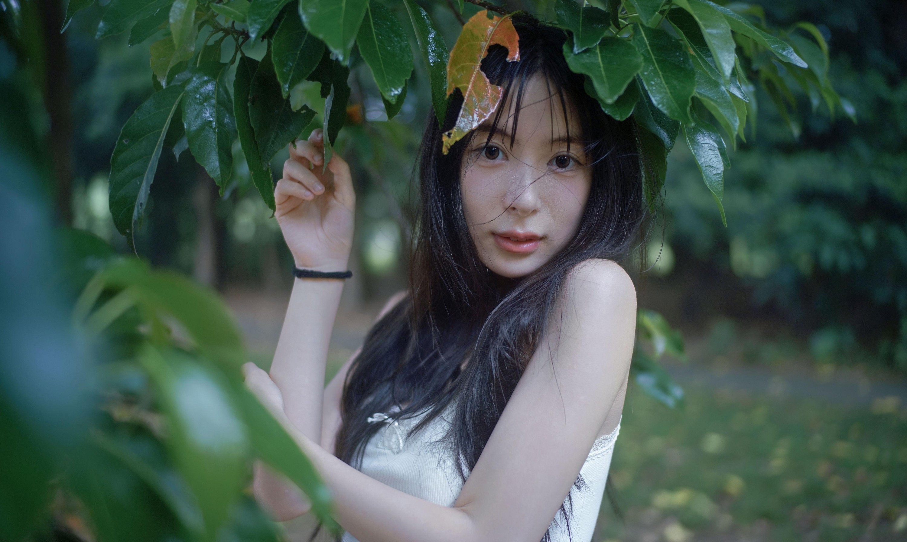 图片[2] - 0831 - 《雨林微雨・少女的湿漉漉童话》[36P] - 机器猫次元 - 机器猫次元