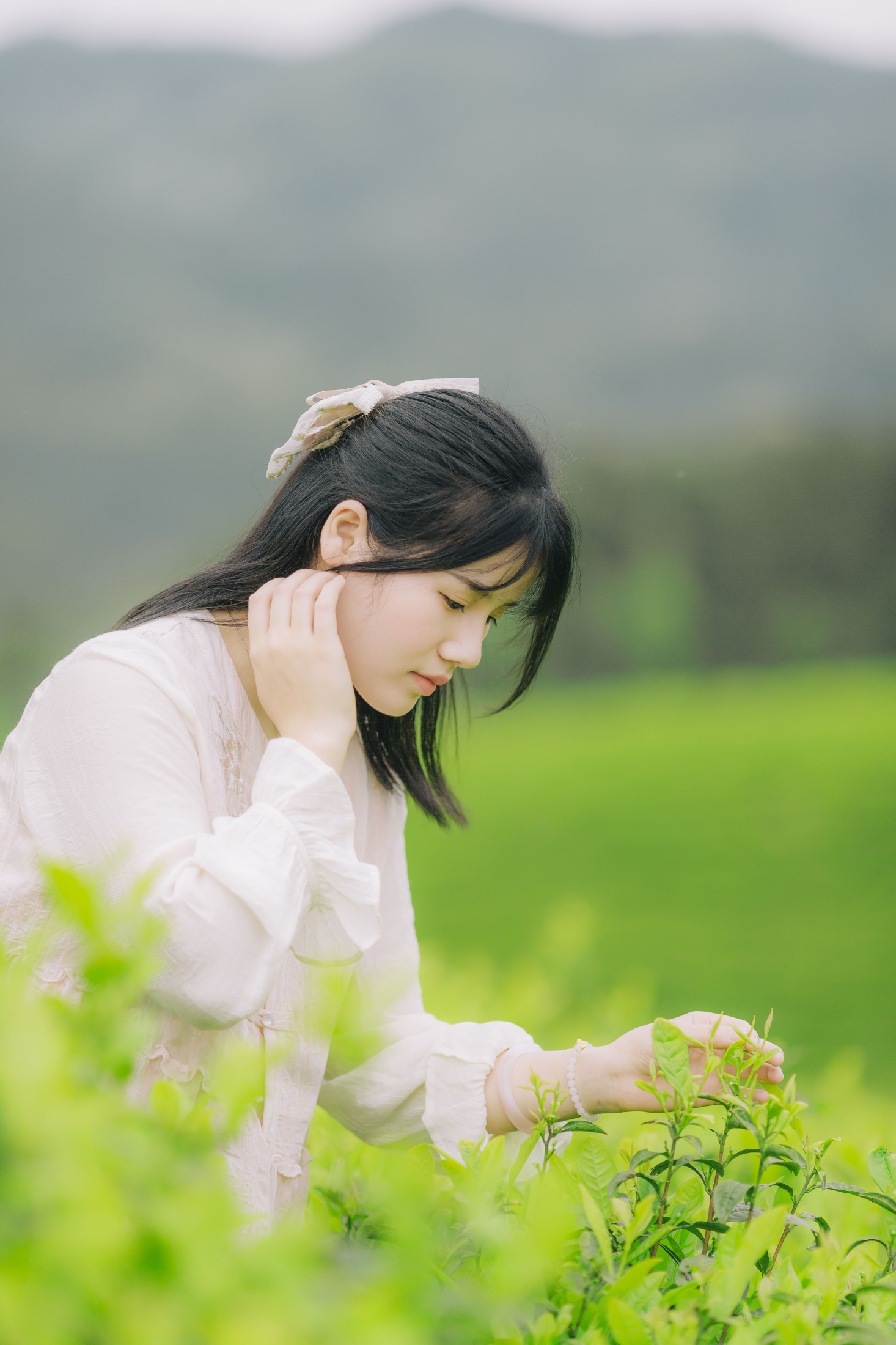 图片[3] - 般若 - 《茶山行》[17P] - 机器猫次元 - 机器猫次元
