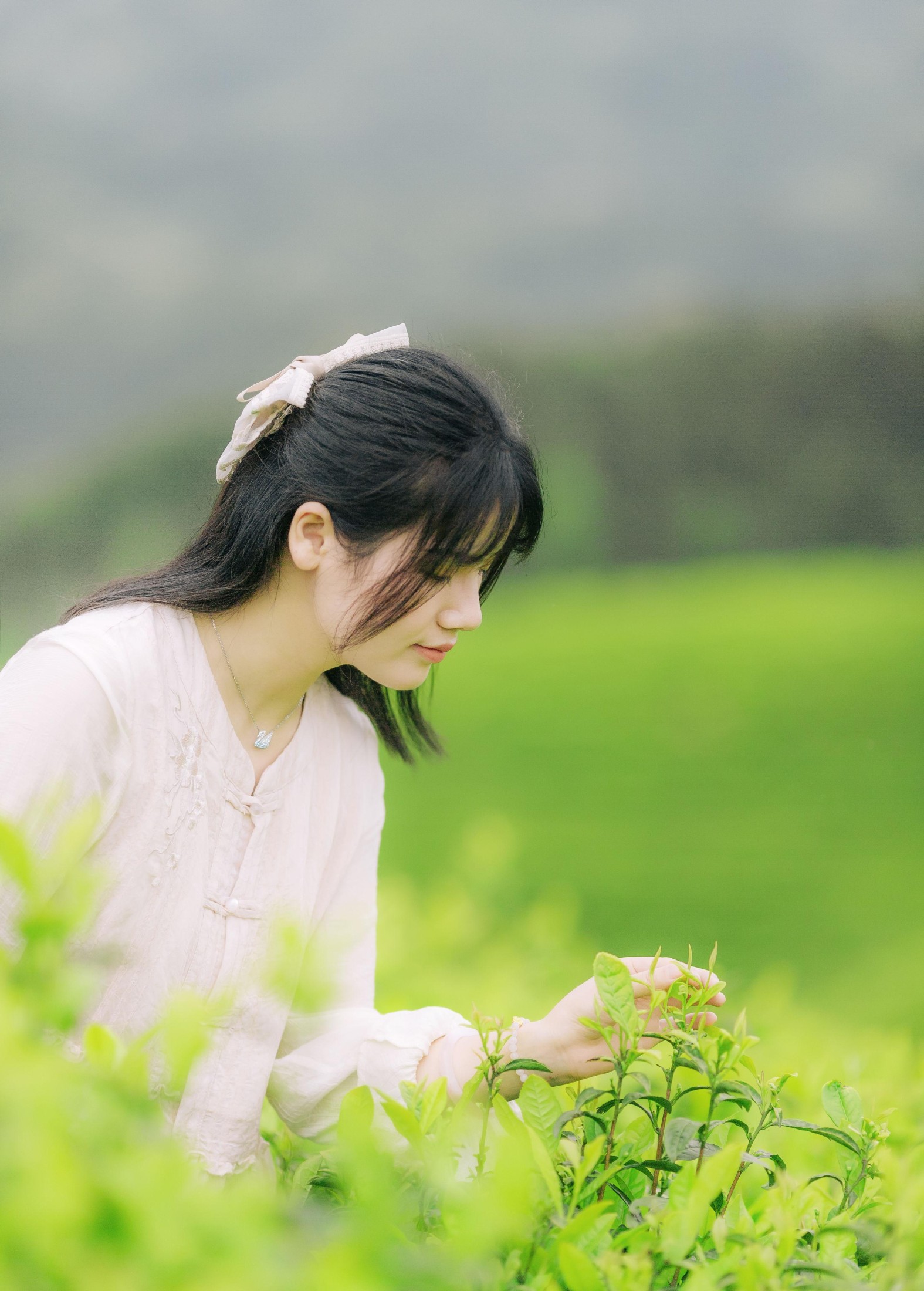 图片[2] - 般若 - 《茶山行》[17P] - 机器猫次元 - 机器猫次元