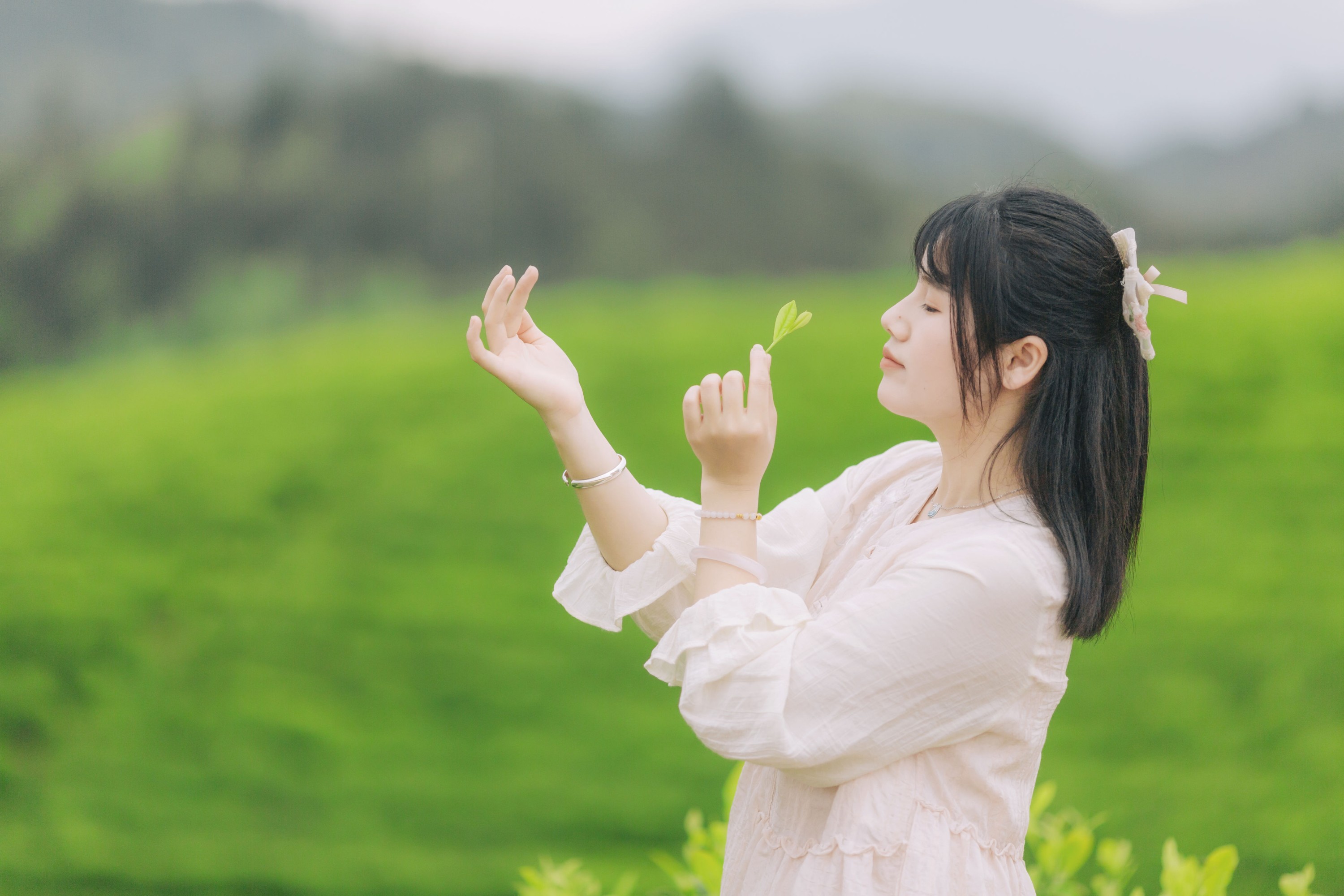 图片[5] - 般若 - 《茶山行》[17P] - 机器猫次元 - 机器猫次元